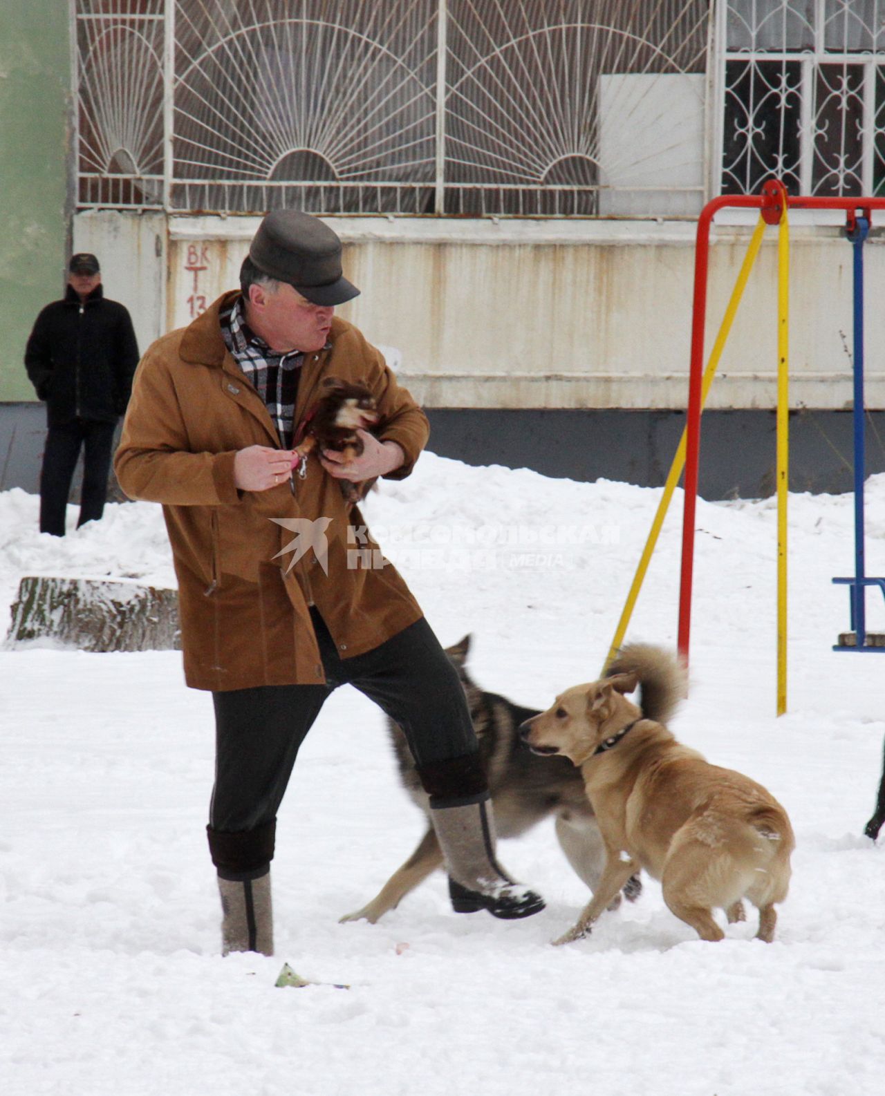 Мужчина с маленькой собакой на руках отбивается от нападающей своры собак.