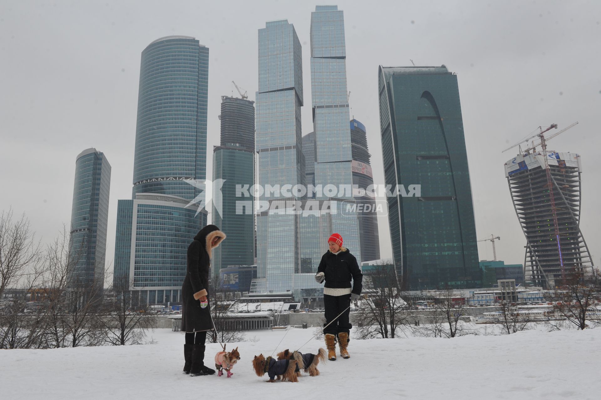 ММДЦ `Москва-Сити`. На снимке: прогулка с собакой.