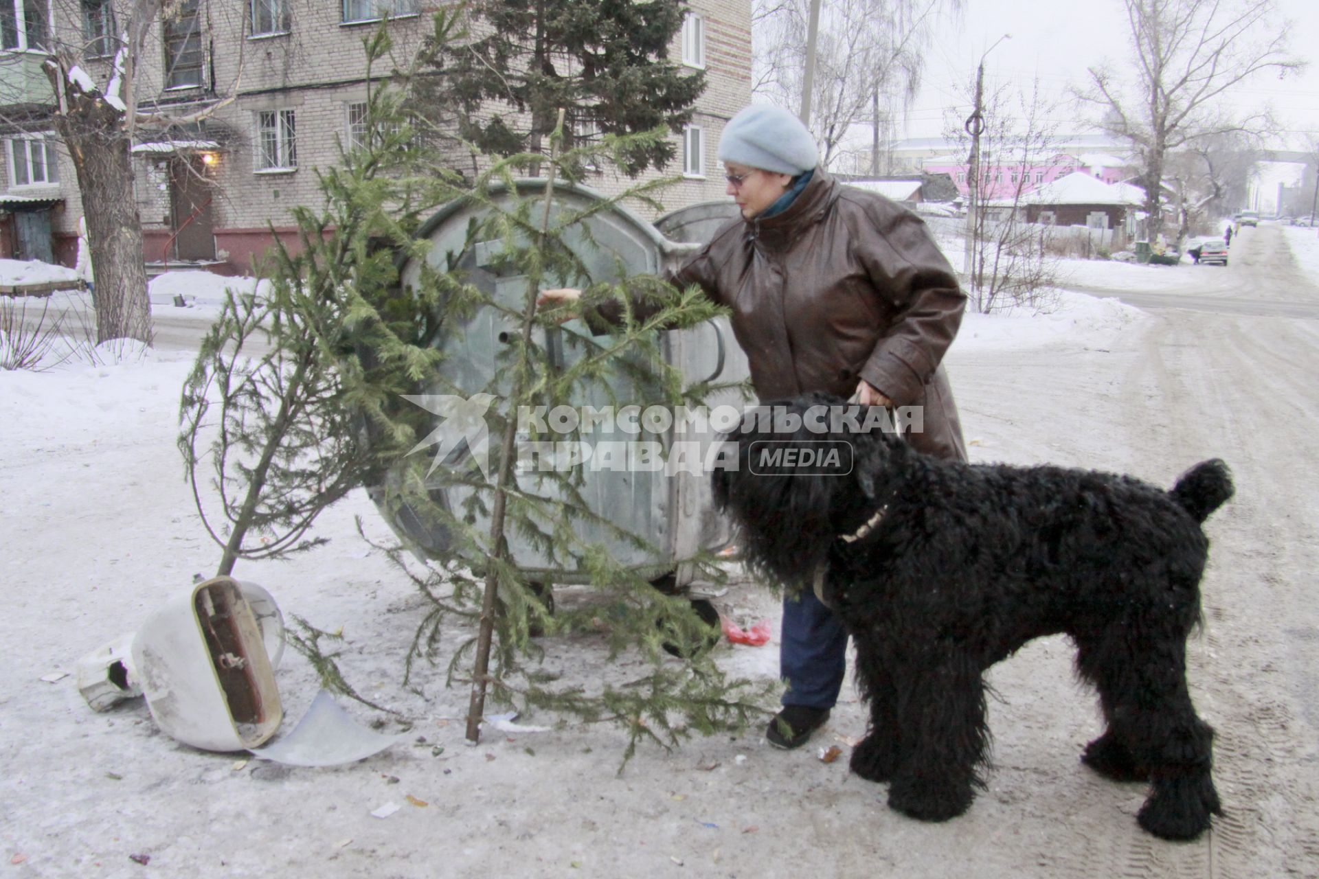 Женщина с большой собакой выбрасывает новогоднюю елку.
