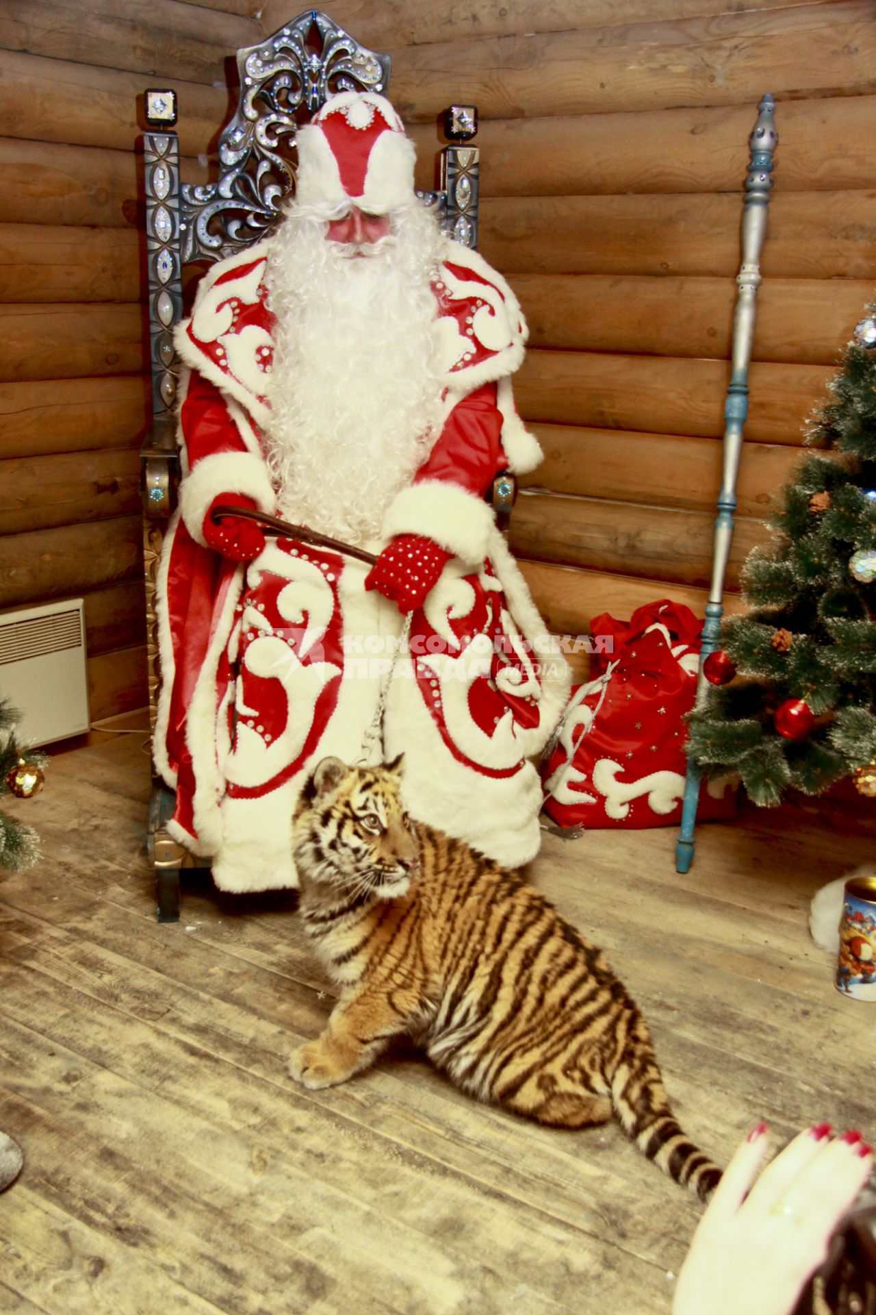 Резиденция Деда Мороза. Дед Мороз на троне с тигренком.