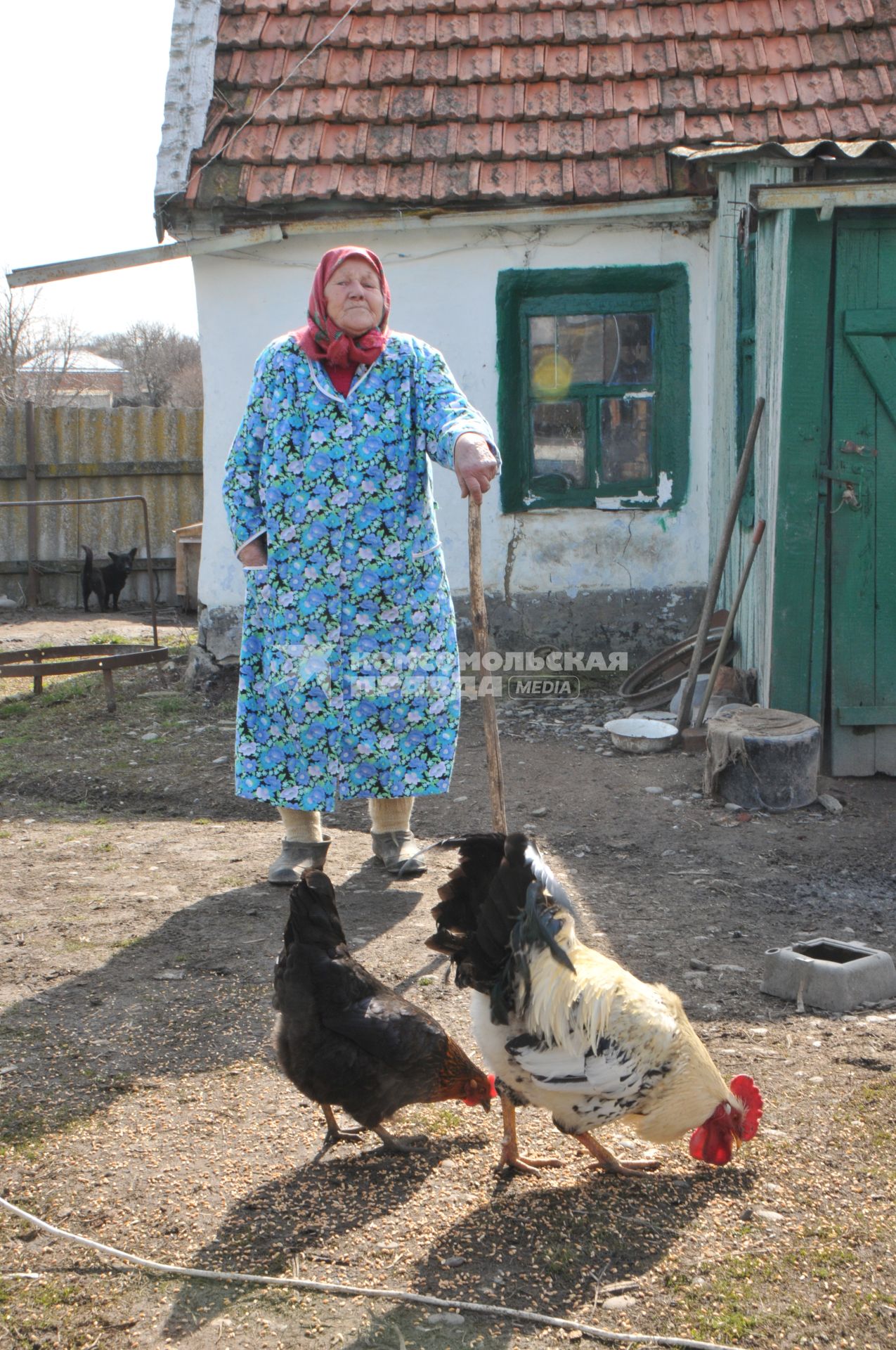 Пенсионер стоит рядом со своим домом в деревне, рядом пасутся куры.