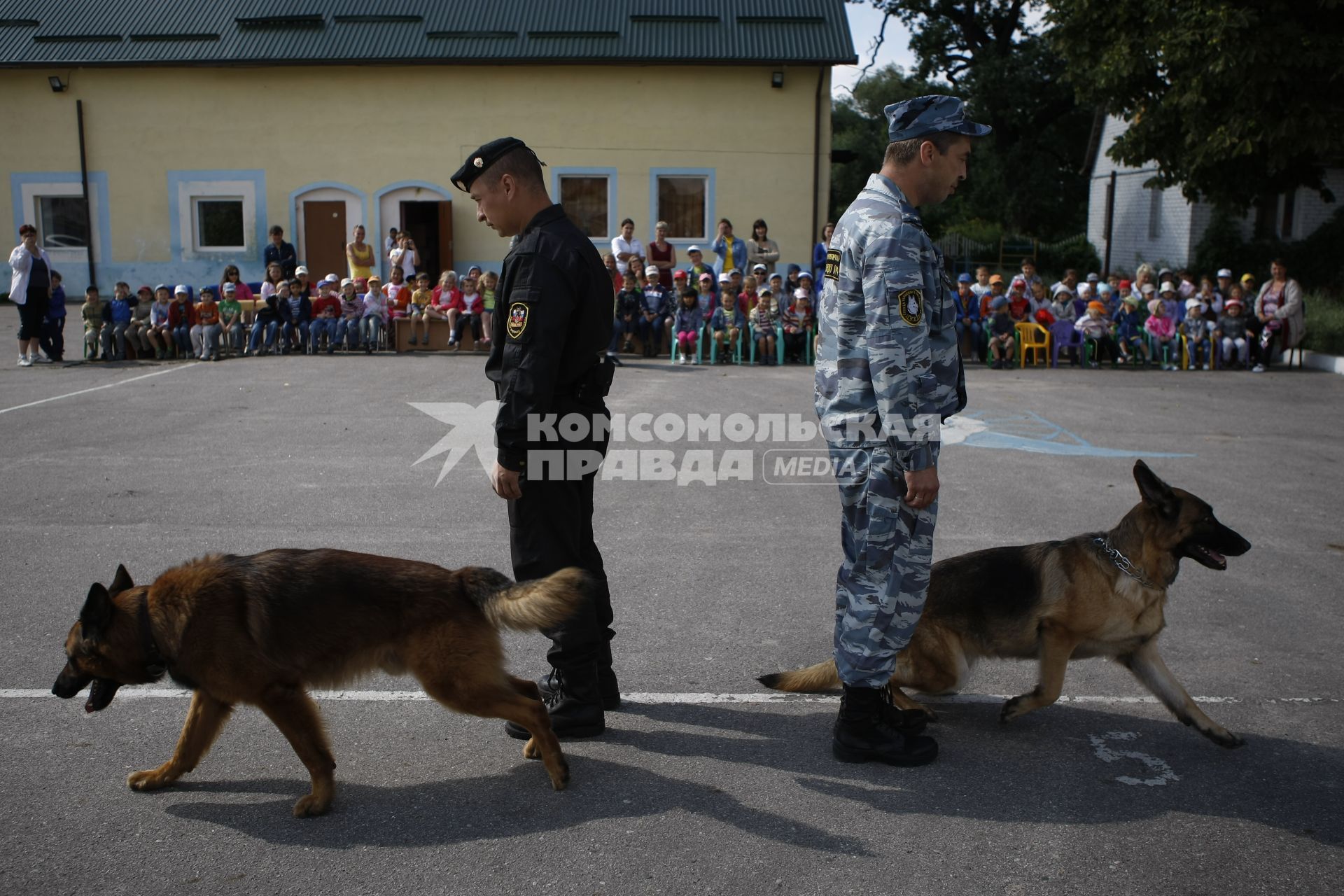 Полицейские с собакой на учениях в детсаду