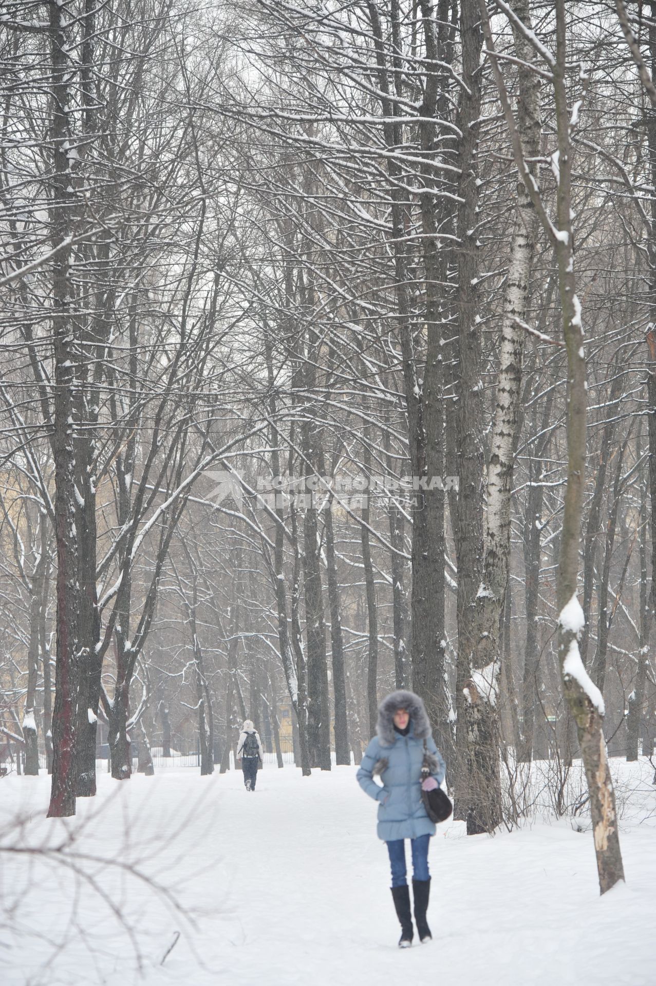 Петровский парк зимой.