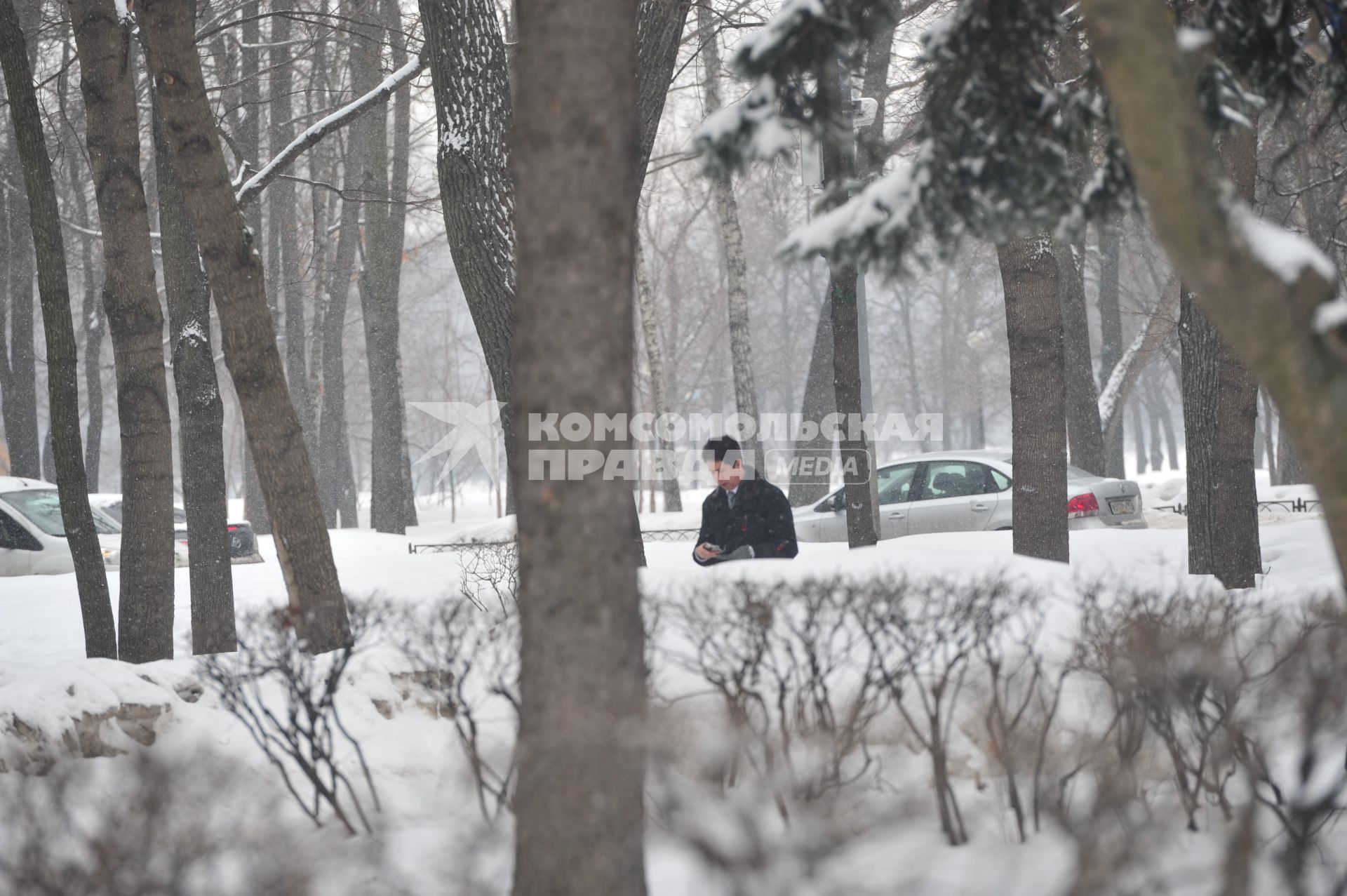 Петровский парк зимой.