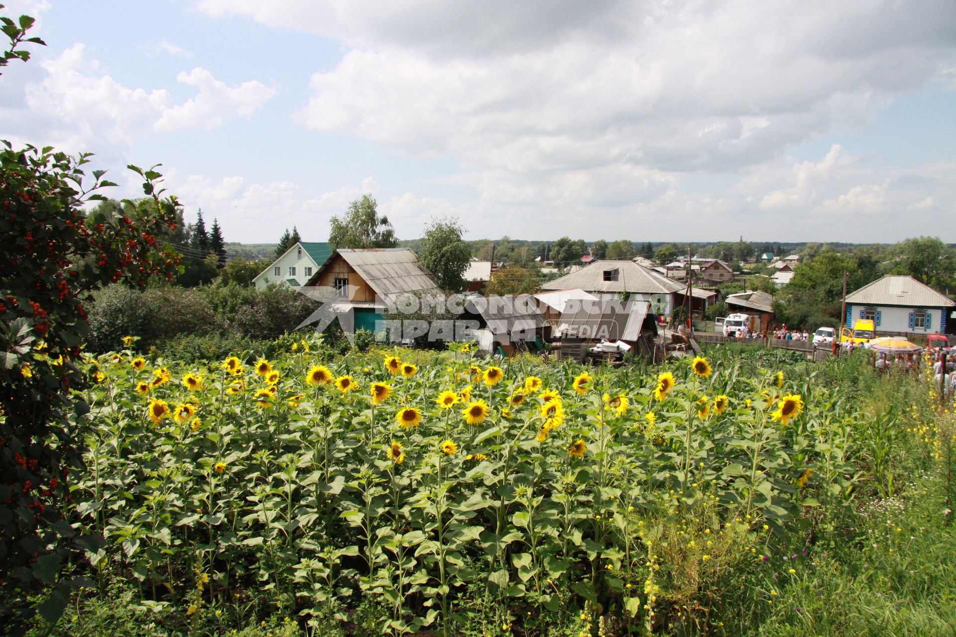 Вид на село Сростки Алтайского края.