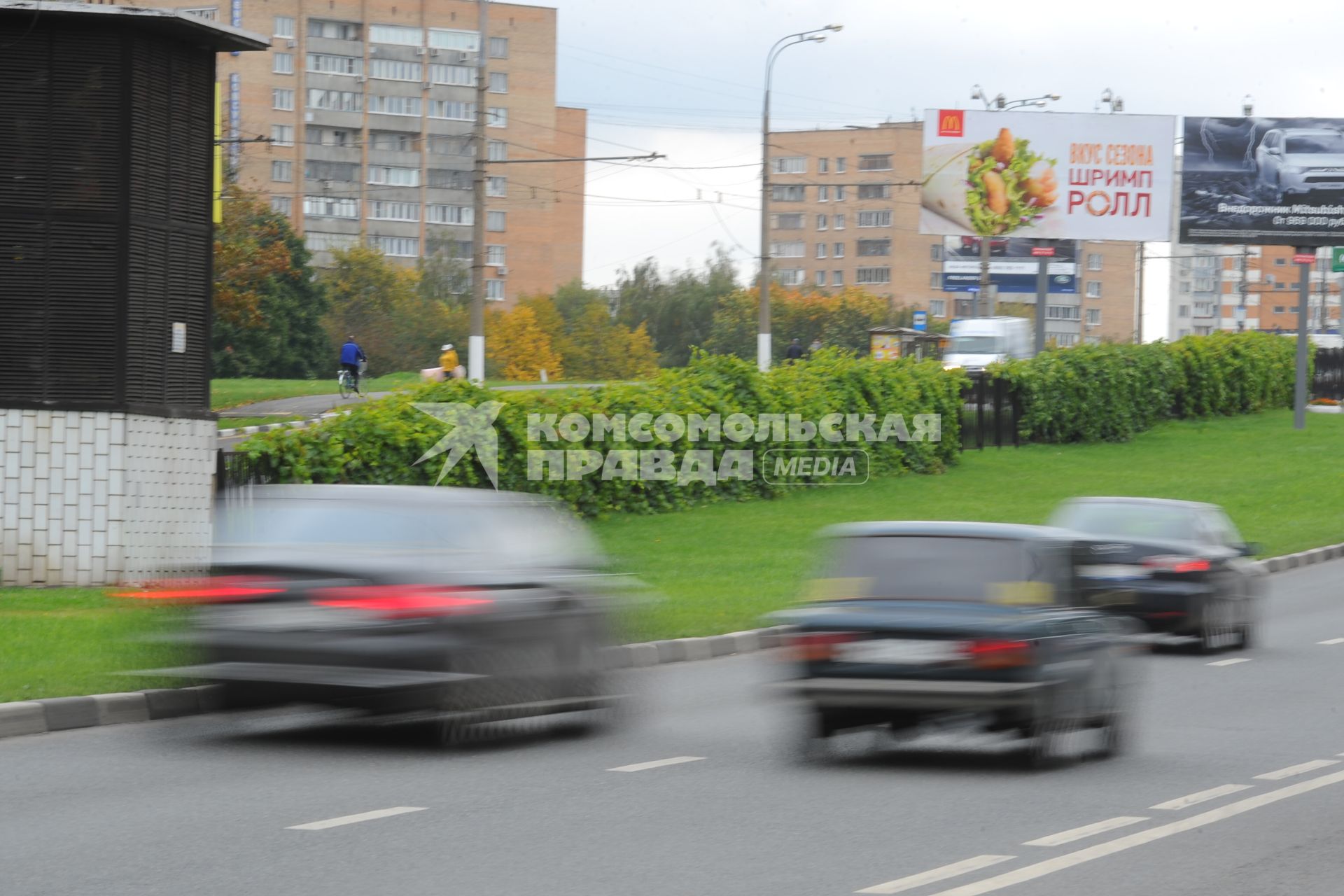 Живая изгородь из дикого винограда. На снимке: автомобили на шоссе.