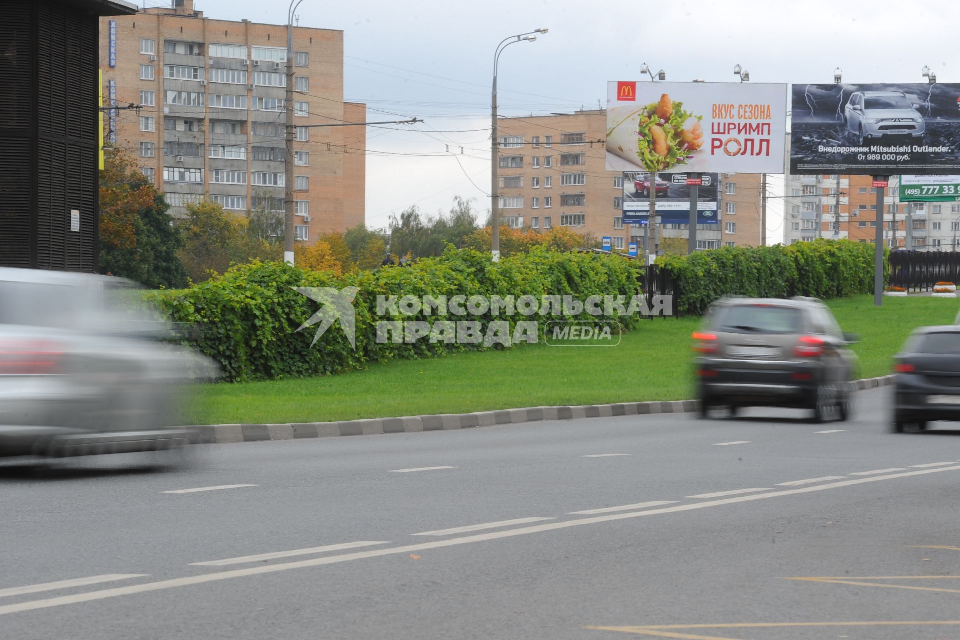 Живая изгородь из дикого винограда. На снимке: автомобили на шоссе.