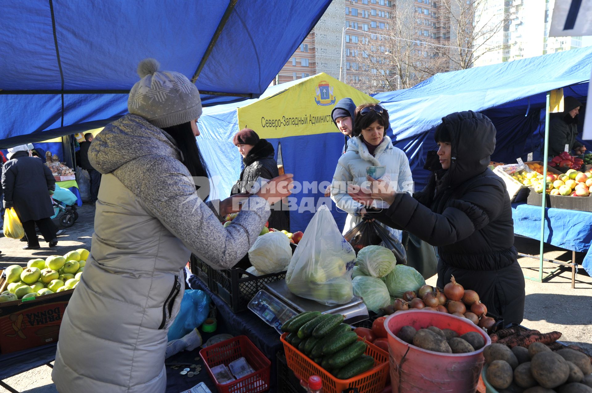 Рынок выходного дня на улице Маршала Тухачевского. На снимке: продажа овощей и фруктов.