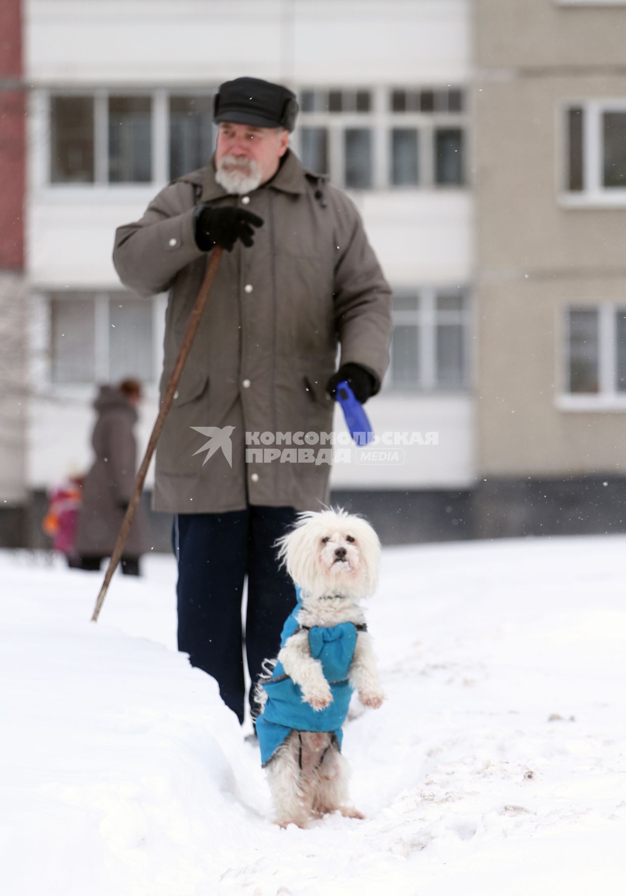 Пожилой мужчина выгуливает собаку.