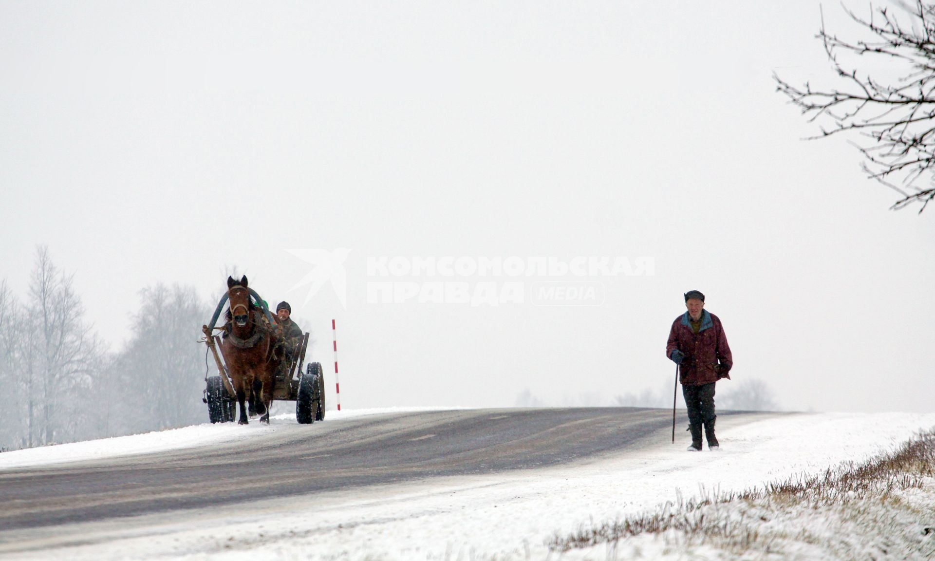 По дороге идет пожилой мужчина с палочкой и едет телега запряженная лошадью.