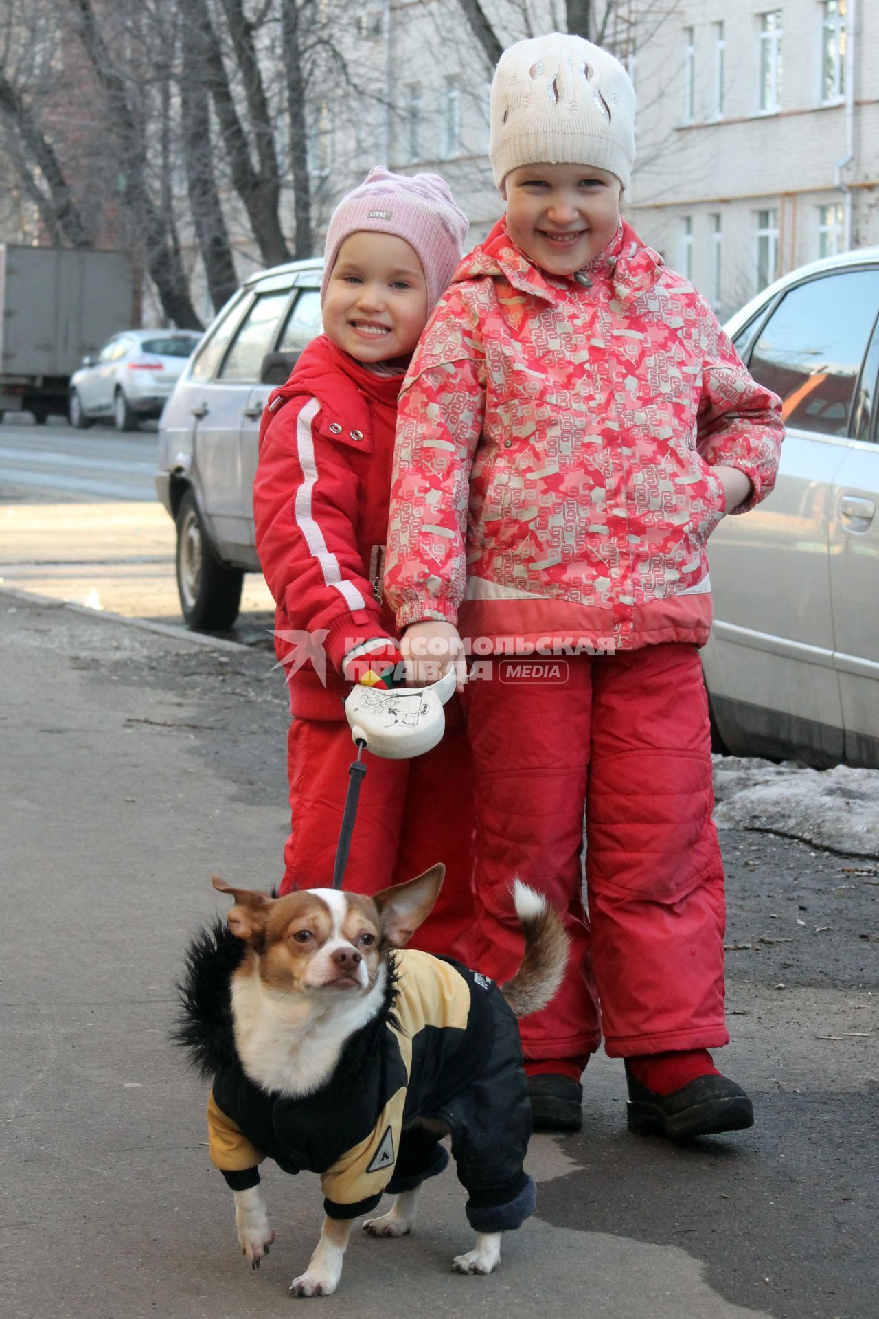 Двое детей выгуливают маленькую собаку.