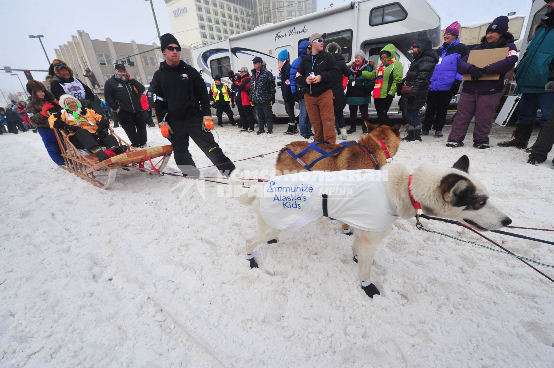 Аляска. Ежегодные гонки на собачьих упряжках (Iditarod Trail Sled Dog Race). На снимке: ездовые собаки и каюр перед соревнованиями.