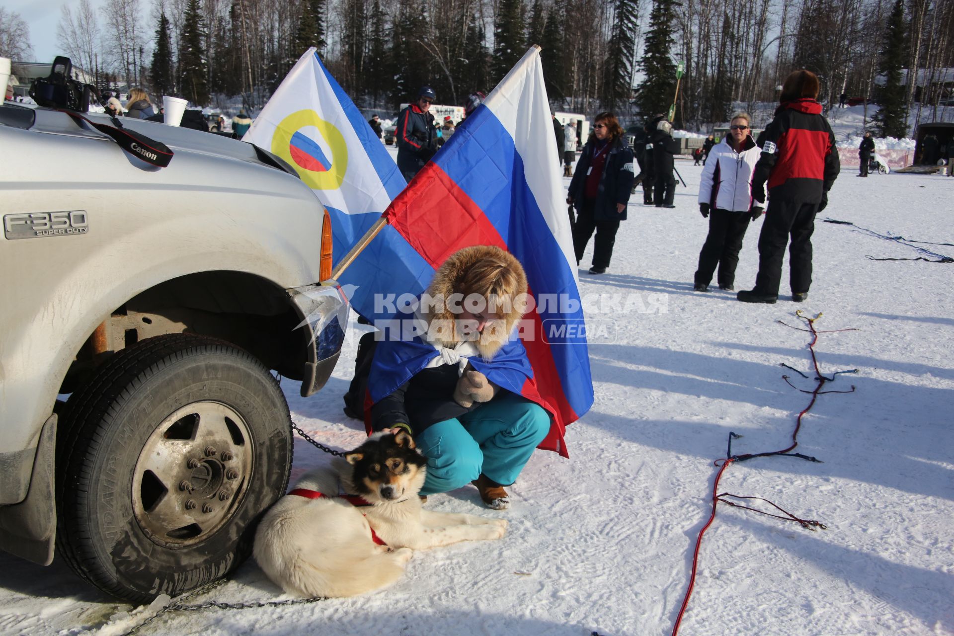 Аляска. Ежегодные гонки на собачьих упряжках (Iditarod Trail Sled Dog Race). На снимке: ездовая собака и женщина.