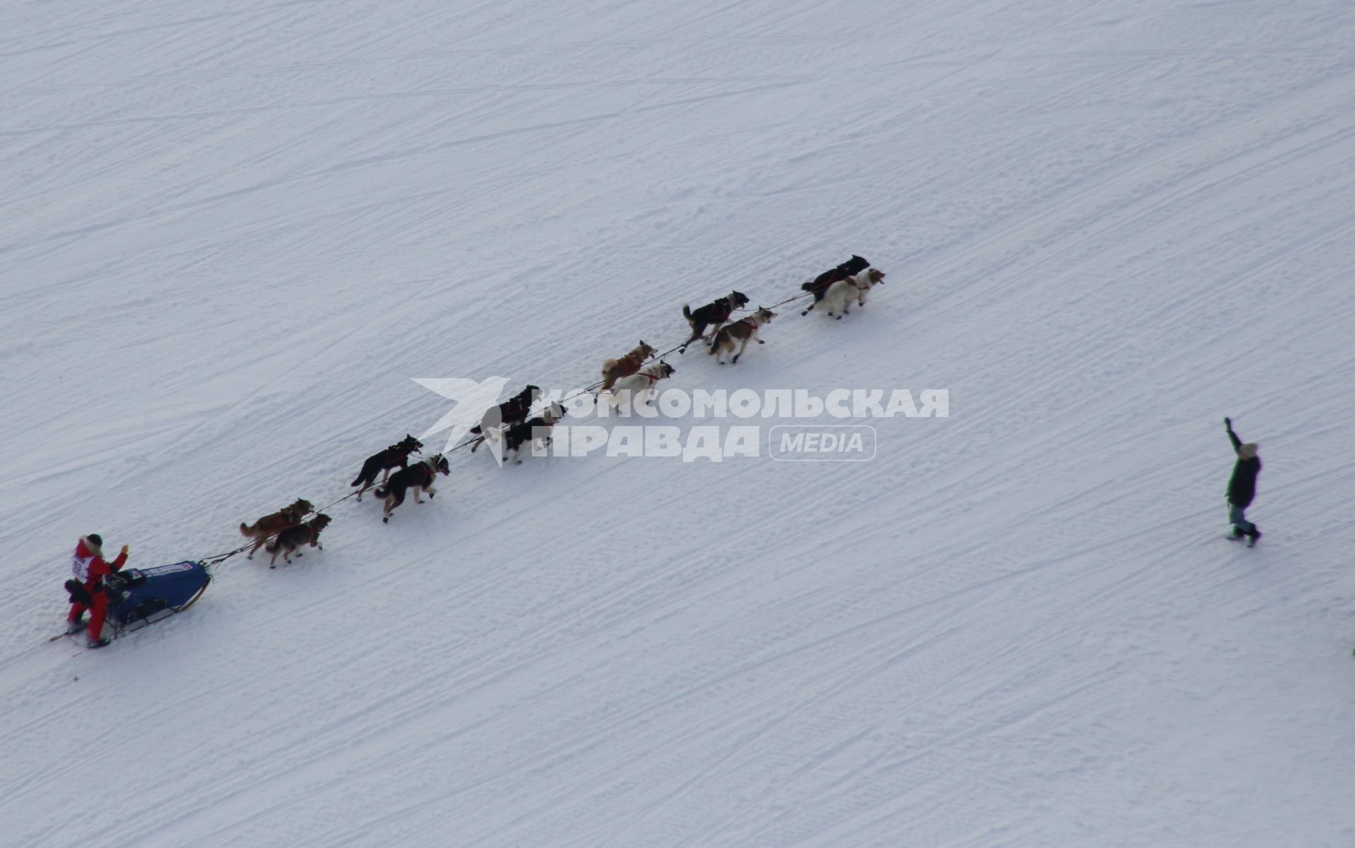 Аляска. Ежегодные гонки на собачьих упряжках (Iditarod Trail Sled Dog Race).