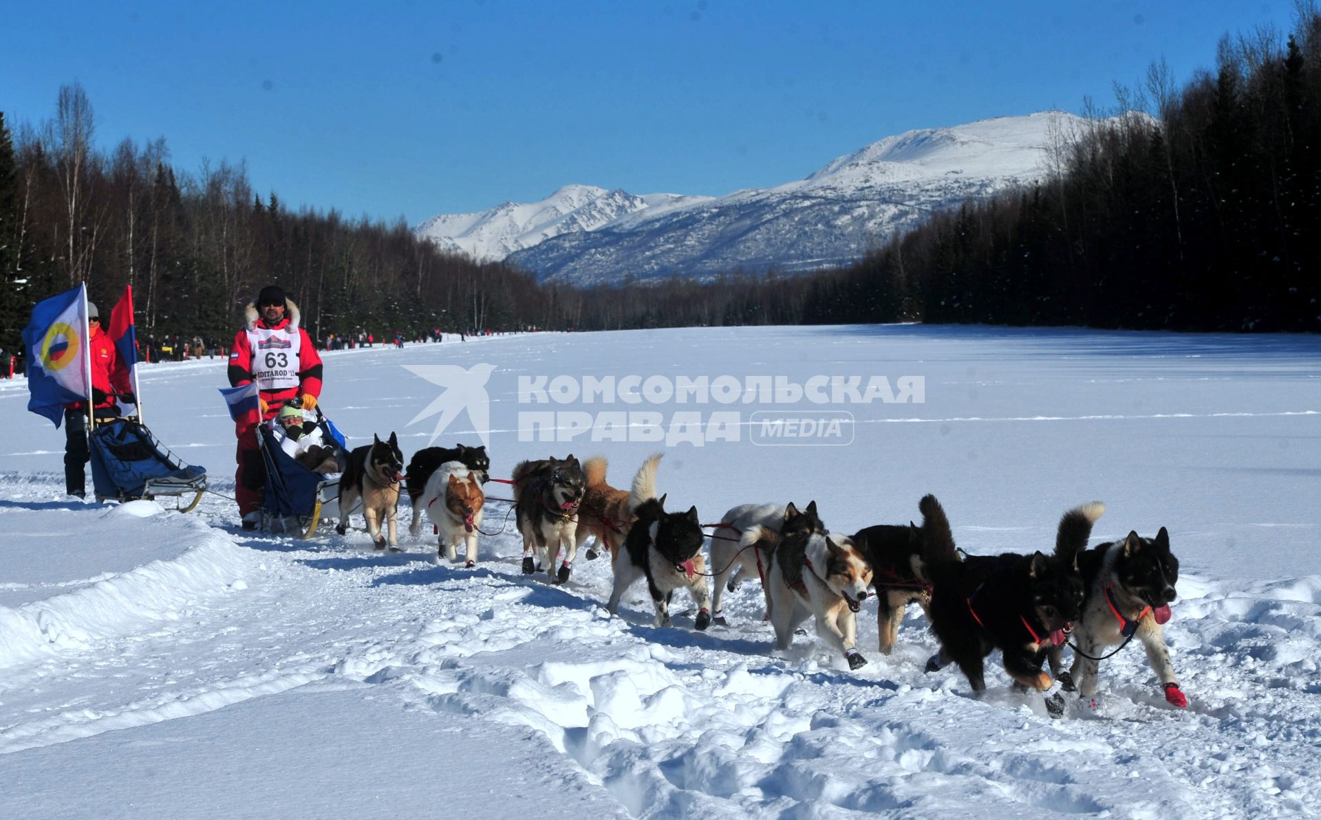 Аляска. Ежегодные гонки на собачьих упряжках (Iditarod Trail Sled Dog Race).