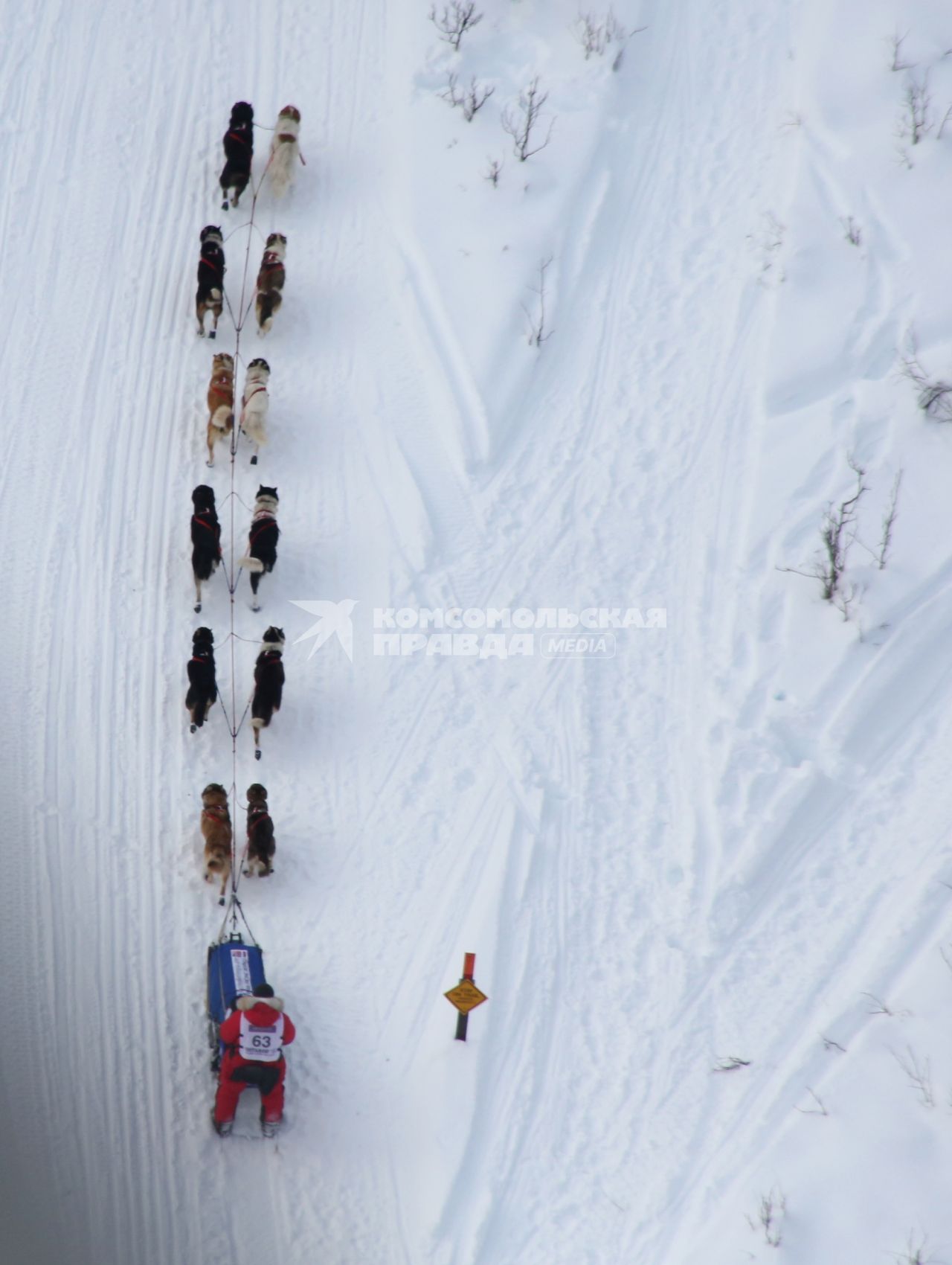 Аляска. Ежегодные гонки на собачьих упряжках (Iditarod Trail Sled Dog Race).