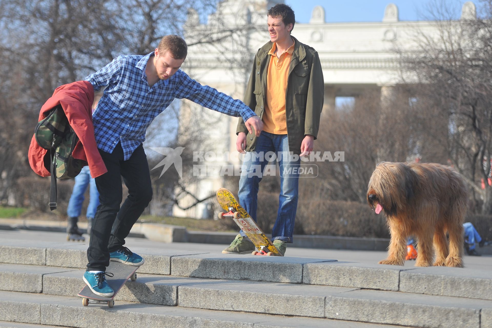 Скейтбордисты.