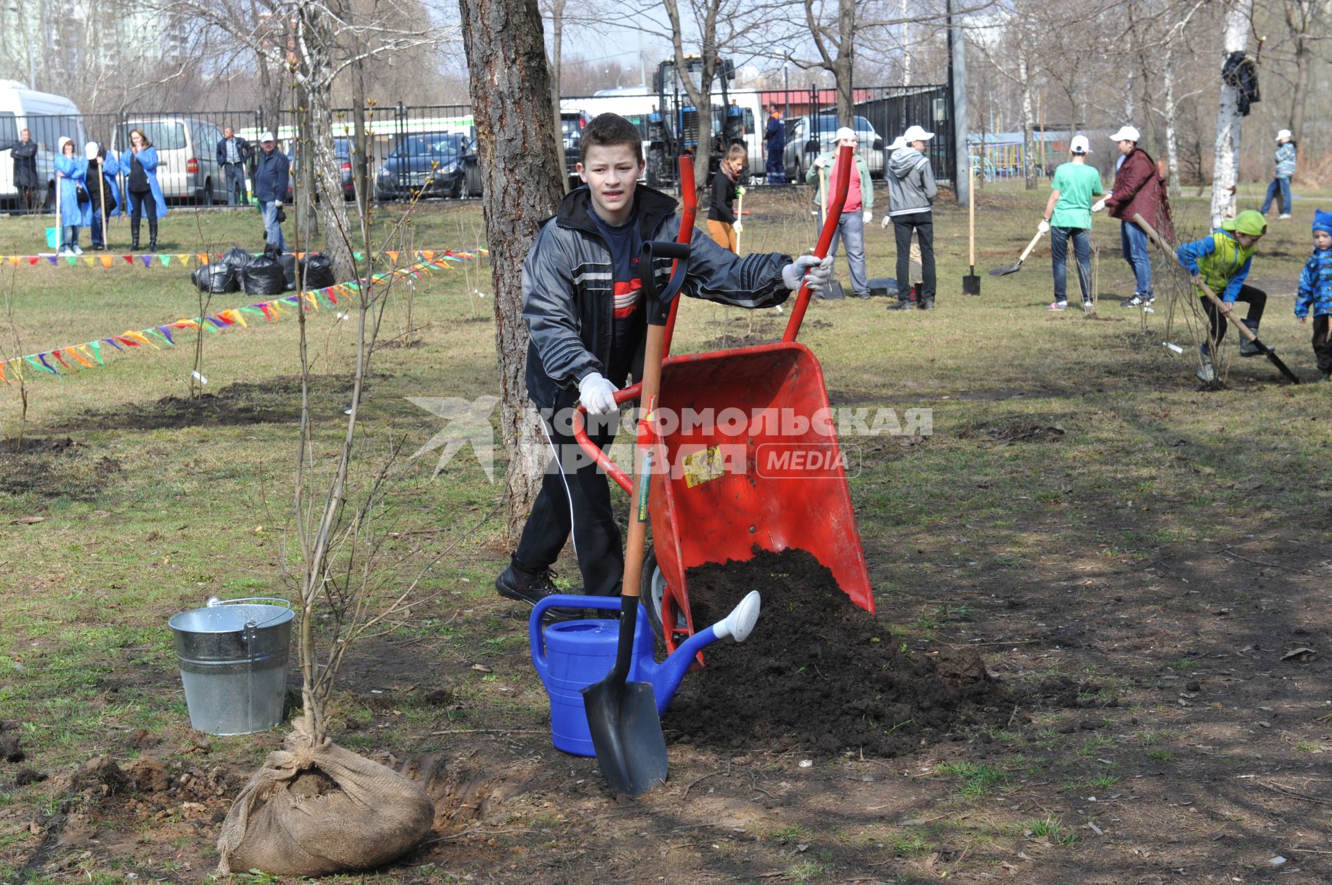 Отрадное. Общегородской субботник. На снимке: посадка деревьев