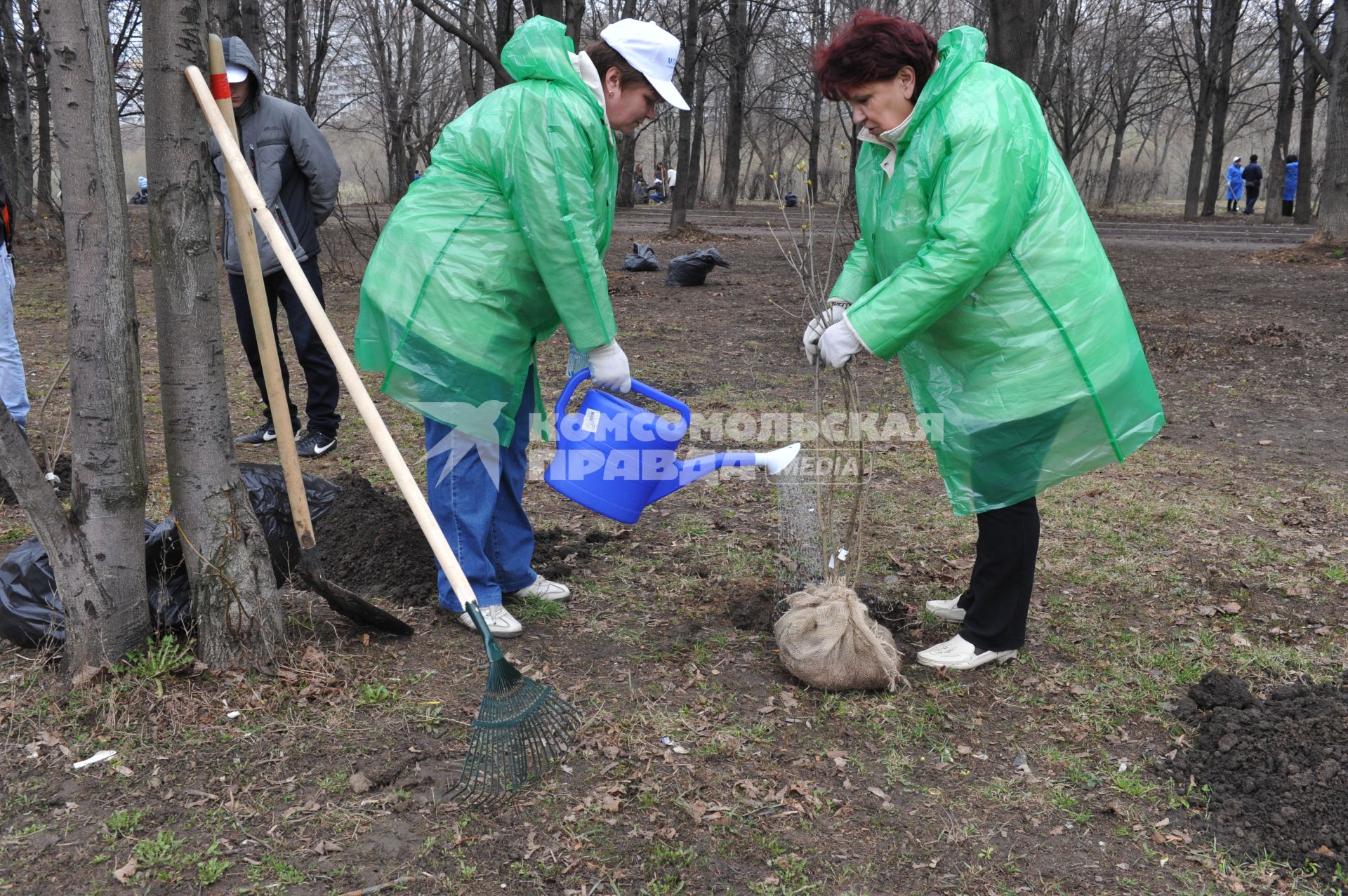 Отрадное. Общегородской субботник. На снимке: посадка деревьев