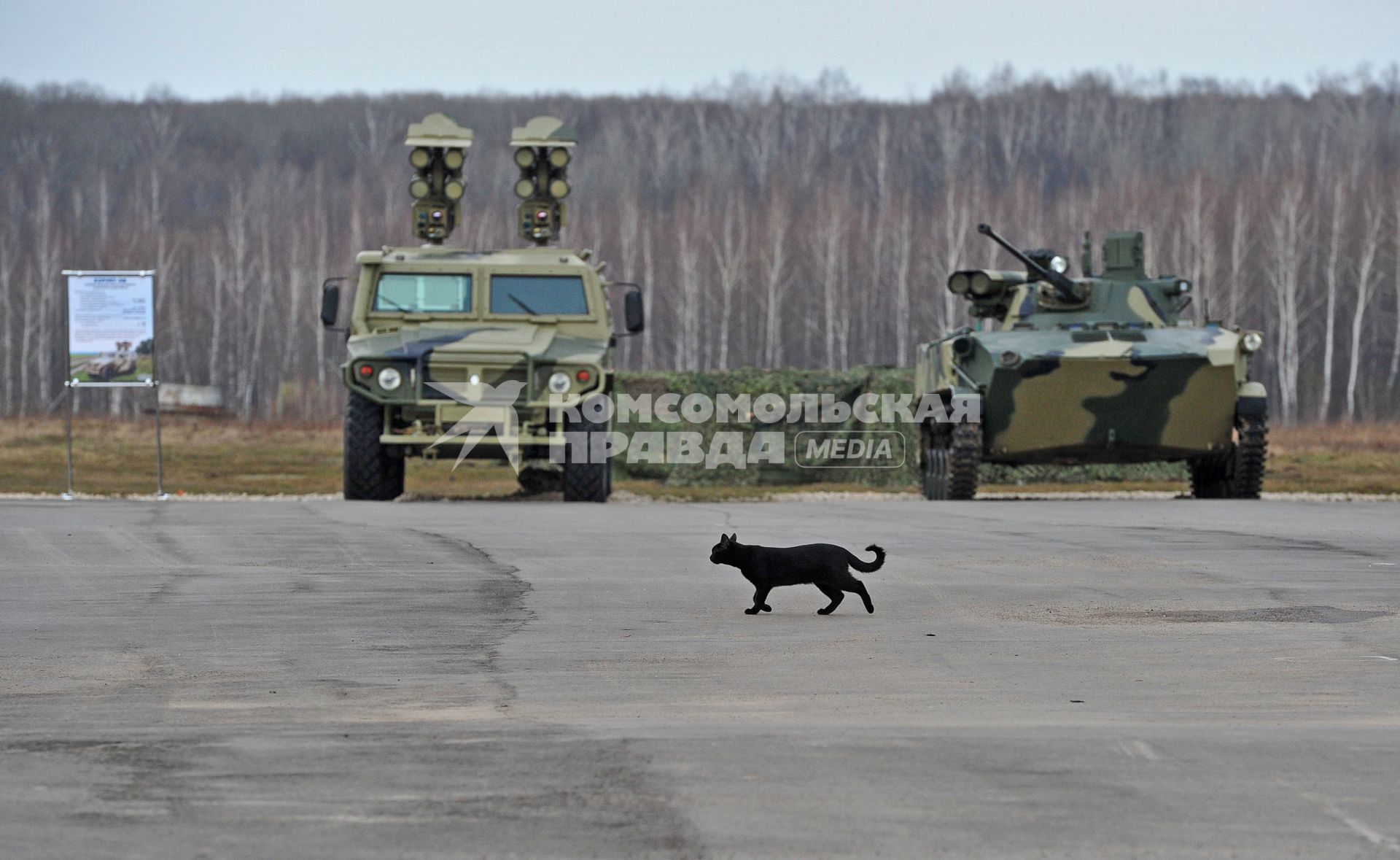 Полигон 106 Гвардейской воздушно-десантной дивизии. Выставка высокоточного оружия тактической зоны действия. На снимке:  военная техника и черный кот.