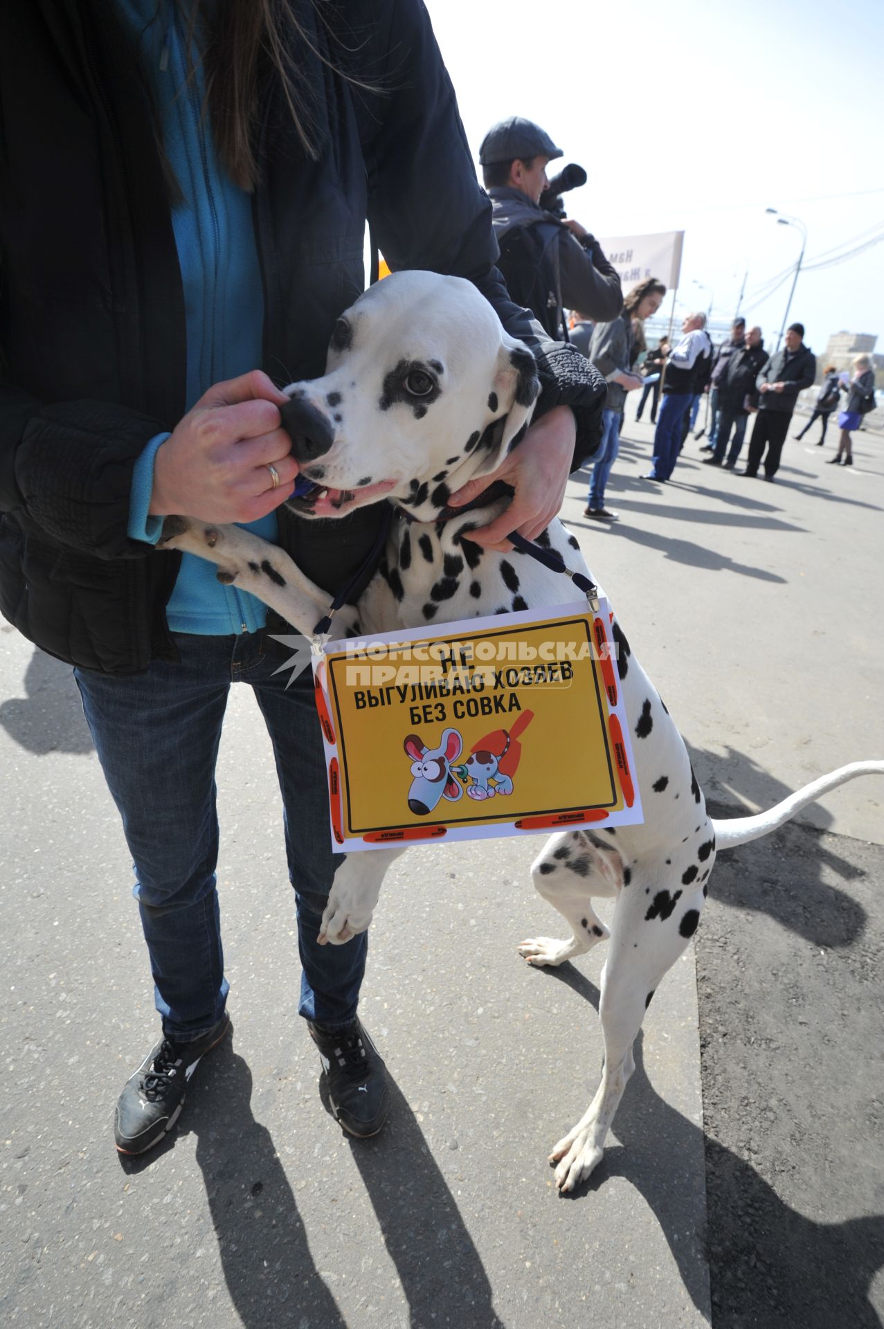 Митинг против хамства, организованный газетой `Комсомольская правда` (КП), прошел в Парке Горького. На снимке: табличка на далматинце `Не выгуливаю хозяев без совка`.