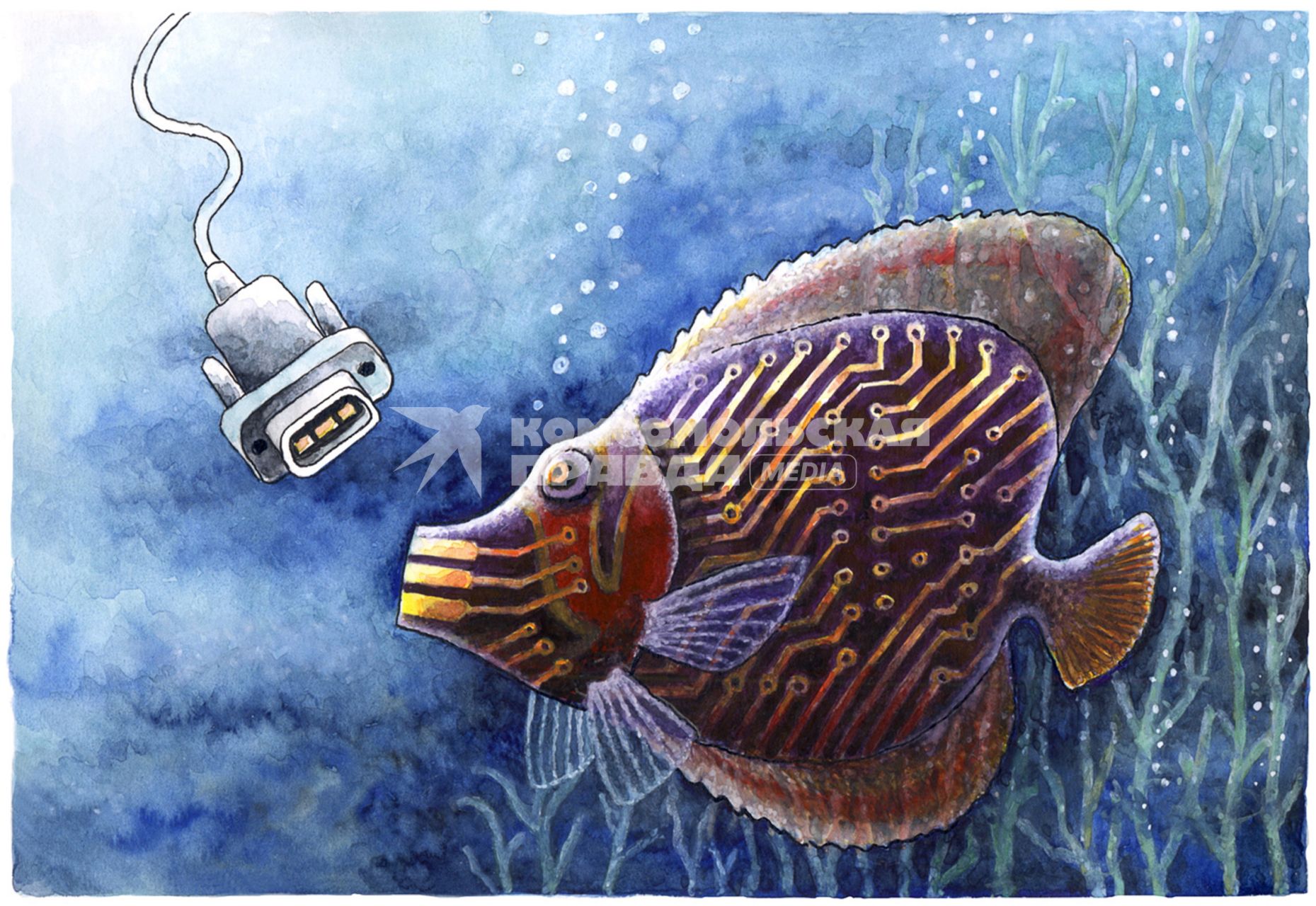 Рыба в виде компьютерной платы подплывает к приманке. ВНИМАНИЕ! Рисунок принадлежит ЗАО `ИД `Комсомольская правда`. Гонорар автору не расписывать.