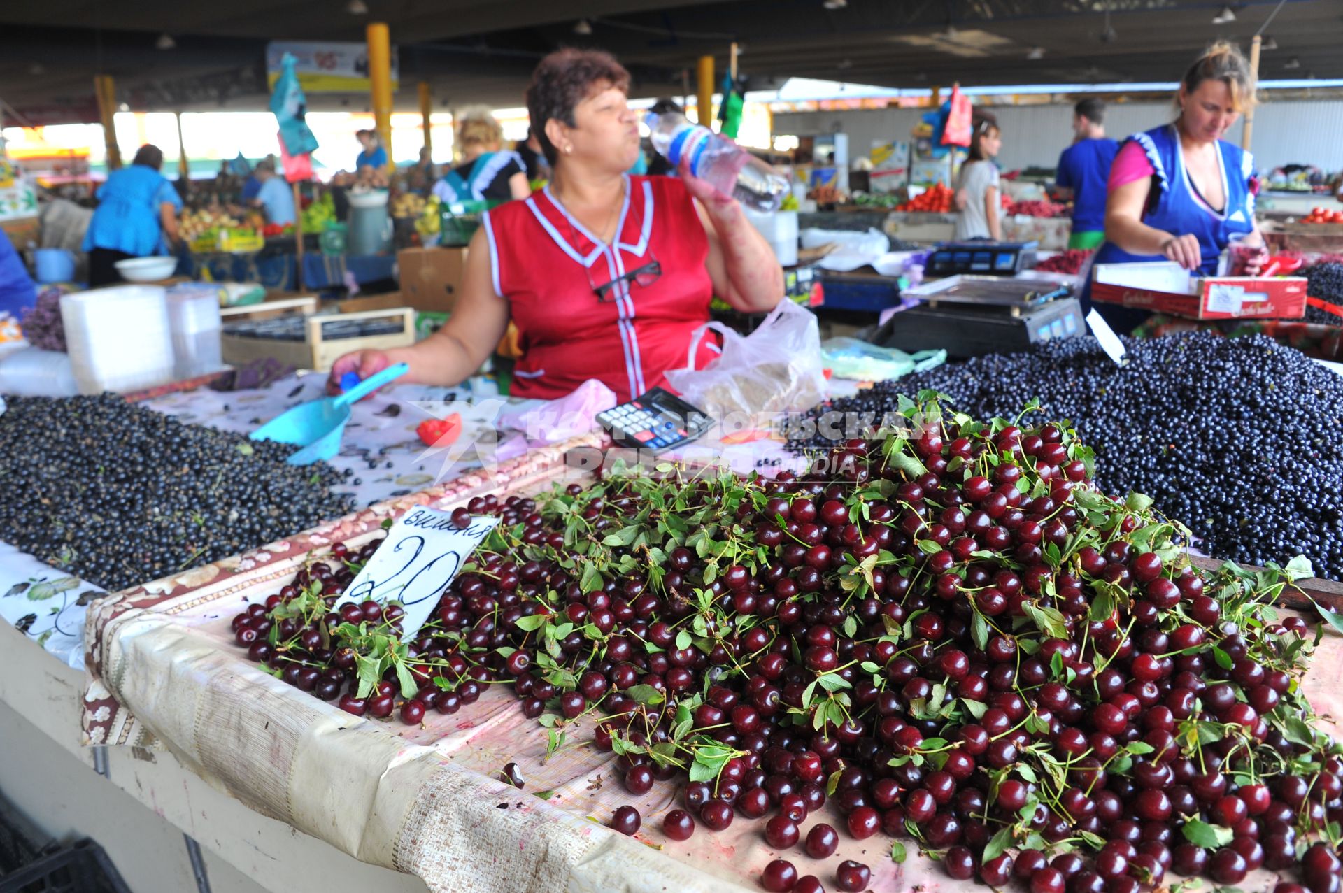 Одесса. Продуктовый рынок. На снимке: продажа черной смородины и вишни.