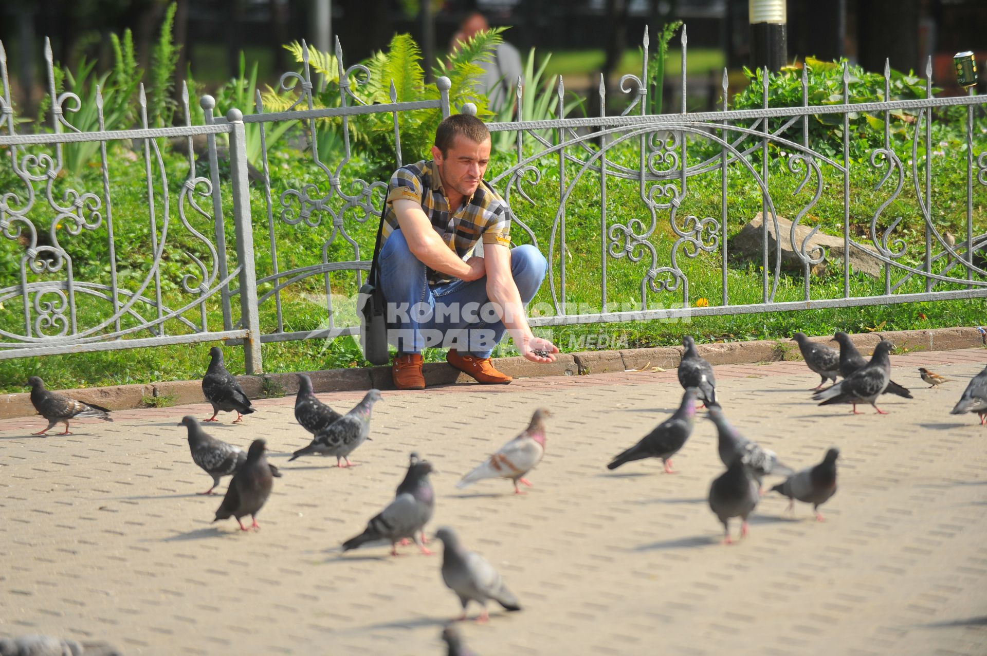 Мужчина кормит голубей на городской улице.