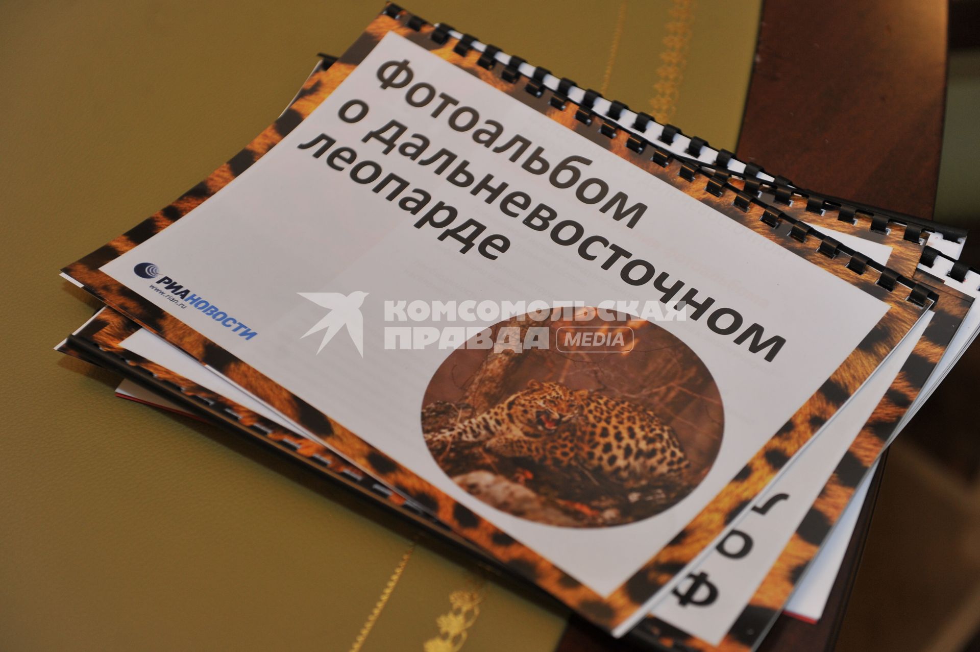 Кремль. Заседание Наблюдательного совета автономной некоммерческой организации `Евроазиатский центр изучения, сохранения и восстановления популяции леопардов`. На снимке: фотоальбом о дальневосточном леопарде.