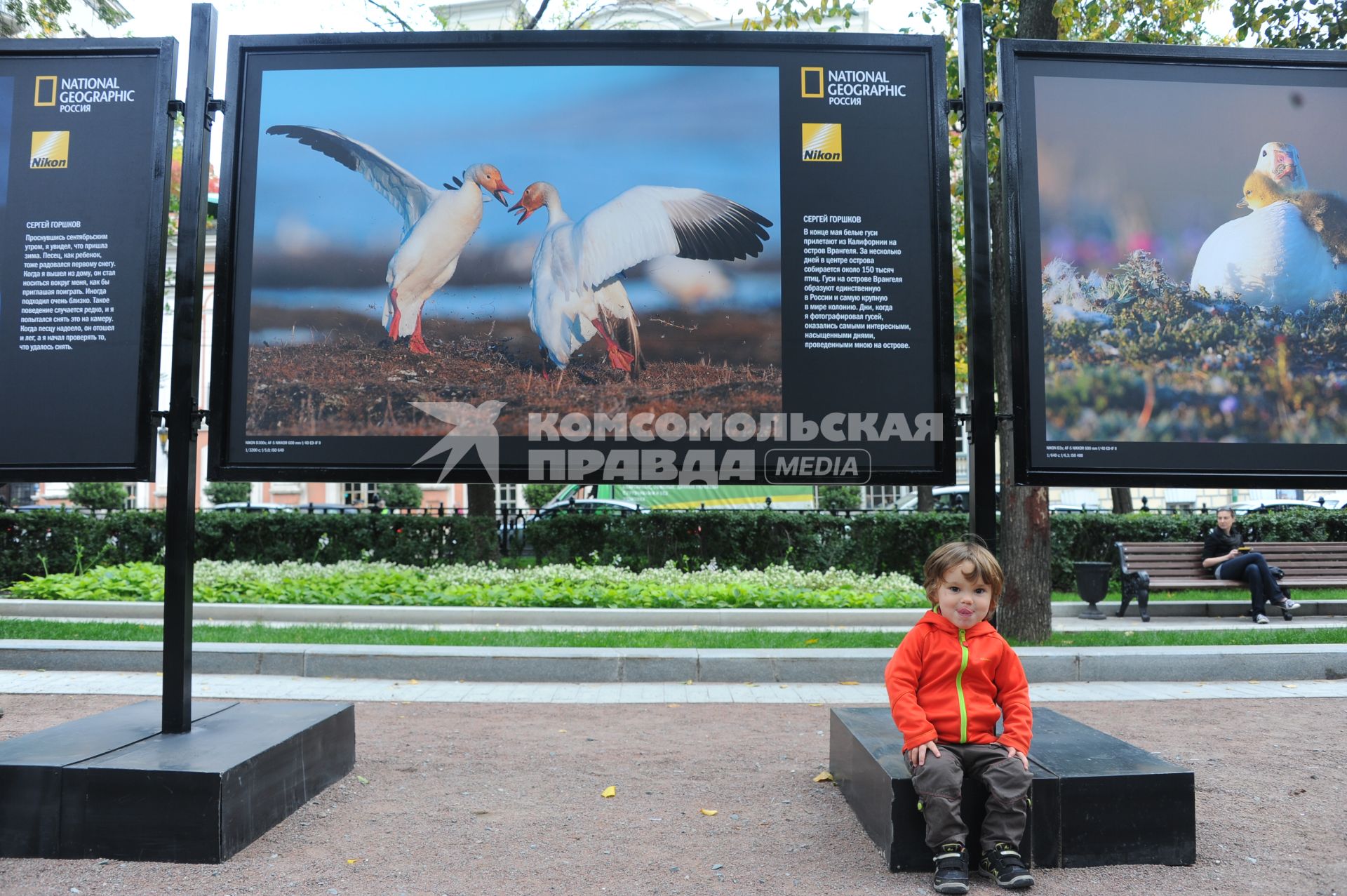 Тверской бульвар. Открытие выставки фотографа Сергея Горшкова `Остров Врангеля. Оазис во льдах`.