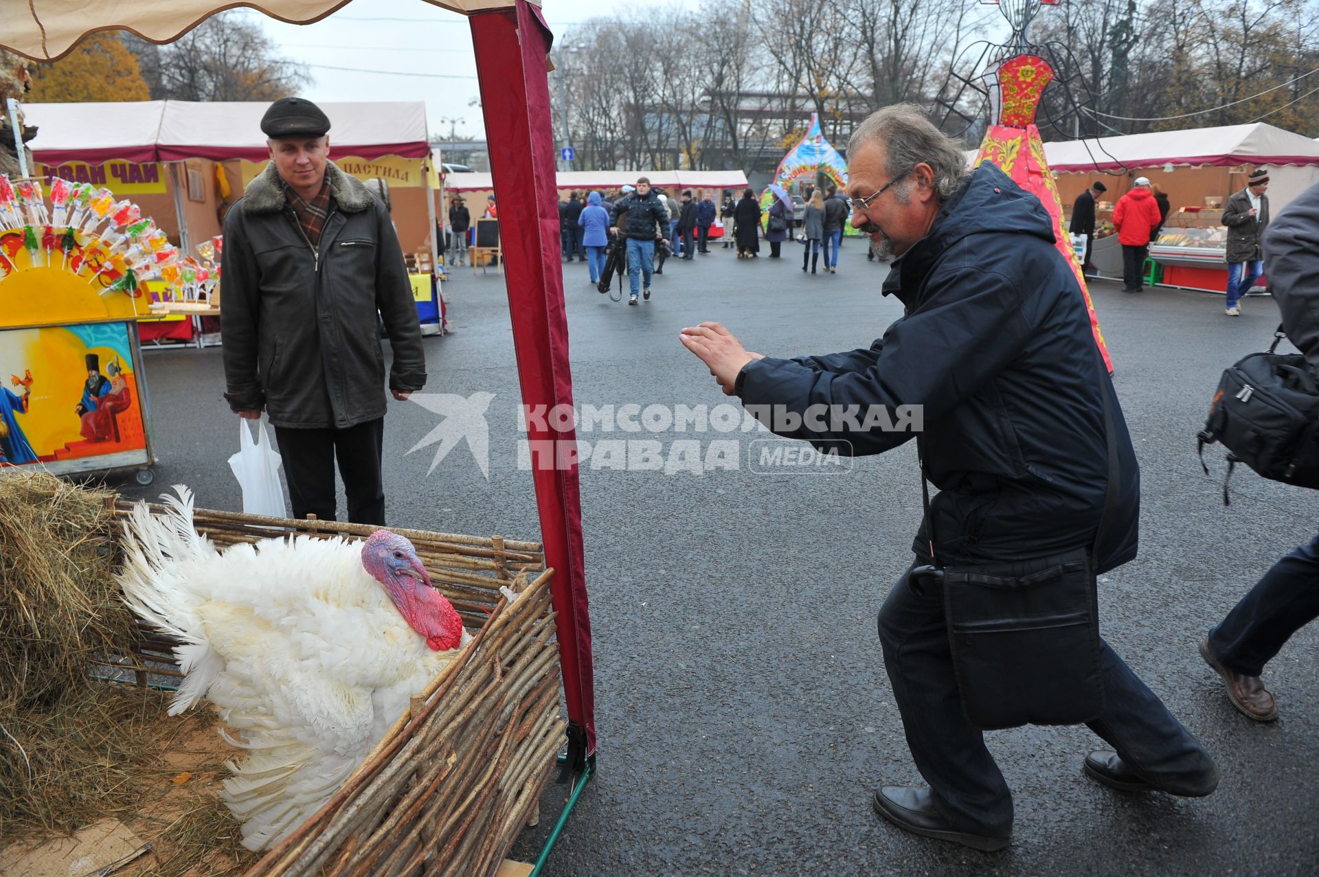 Ярмарка на ВВЦ. На снимке: индюк.