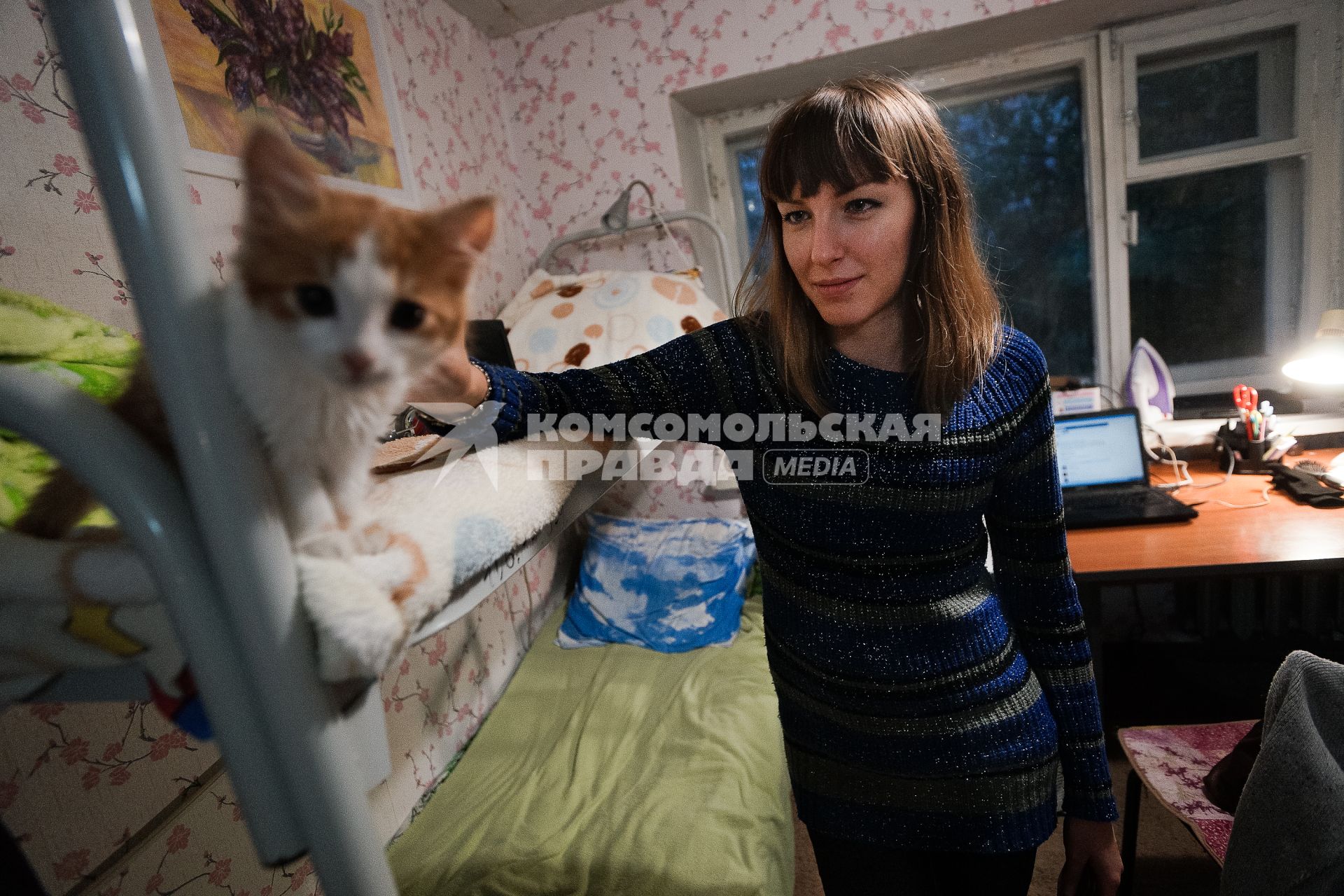 Студенческое общежитие в Екатеринбурге. На снимке: девушка гладит кота сидящего на втором ярусе кровати.