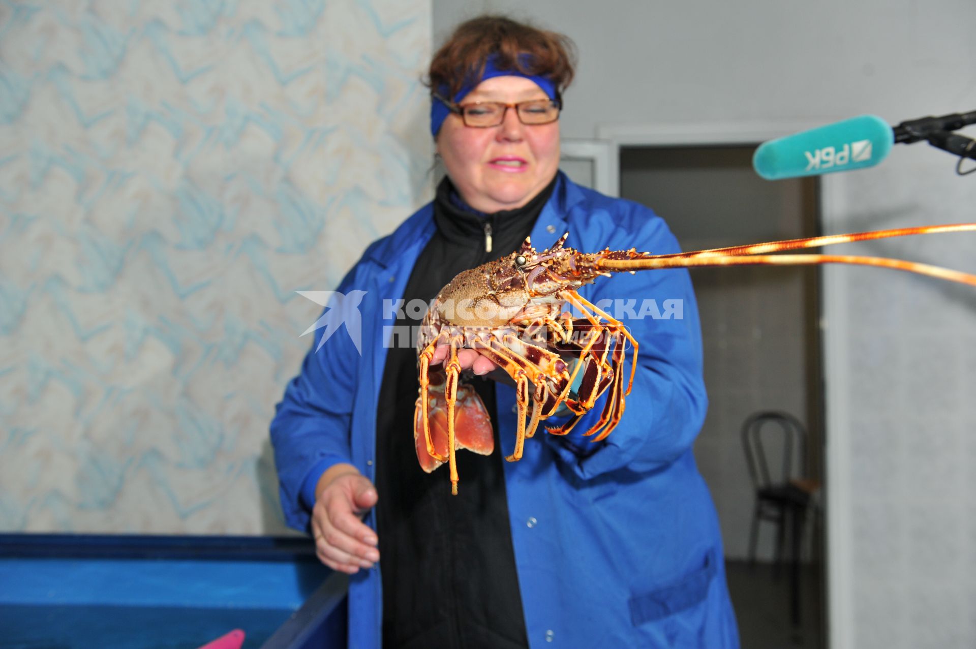 Профессиональная продажа морепродуктов и охлажденной рыбы. Склад рыбной продукции компании  `La Maree`.  На снимке: женщина держит  омара.