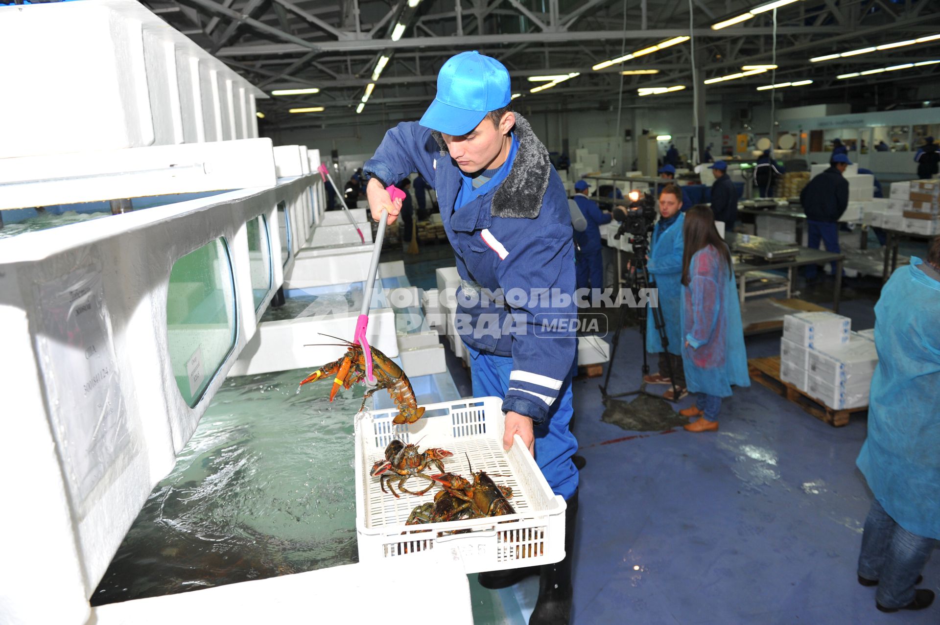 Профессиональная продажа морепродуктов и охлажденной рыбы. Склад рыбной продукции компании  `La Maree`.  На снимке: рабочий  у контейнера с омарами.