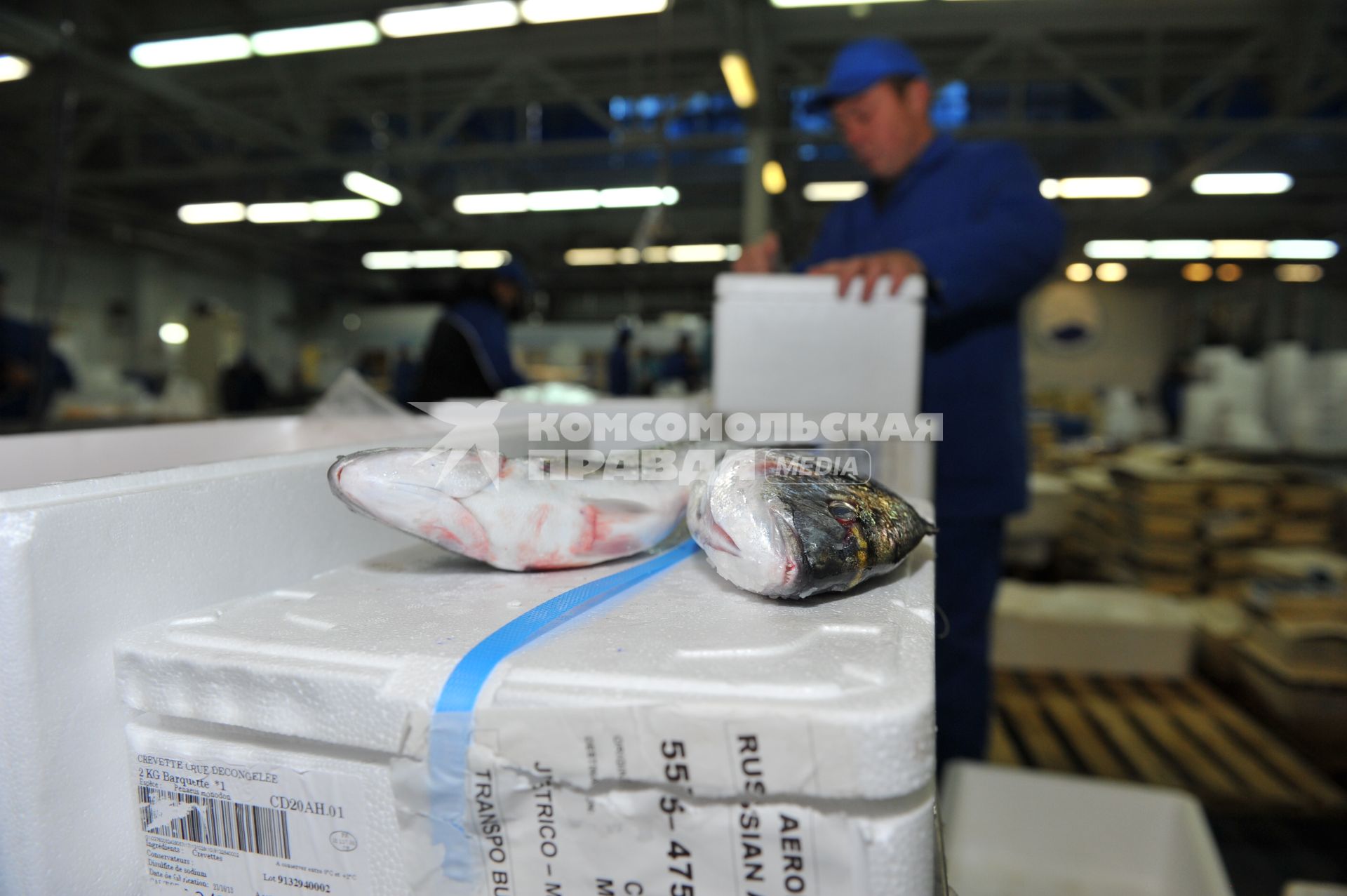 Профессиональная продажа морепродуктов и охлажденной рыбы. Склад рыбной продукции компании  `La Maree`.  На снимке: охлажденная рыба.