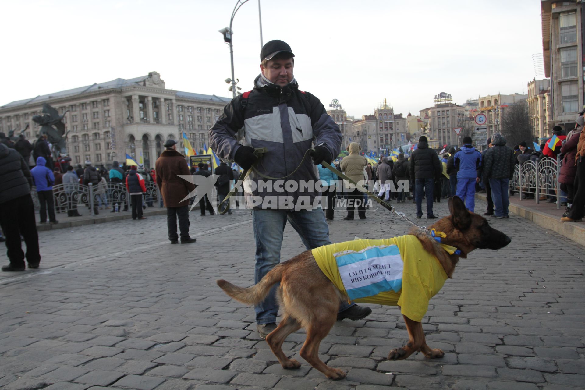 Евромайдан. Акция сторонников евроинтеграции Украины на площади Независимости. На снимке: плакат на собаке `Импичмент Януковичу`.