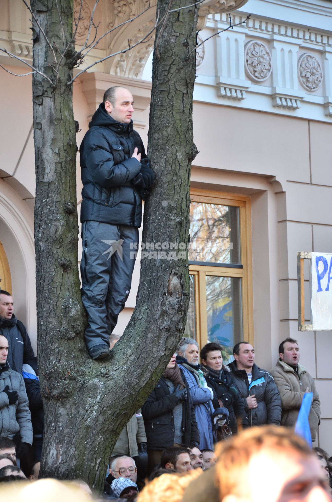 Евромайдан. Акция сторонников евроинтеграции Украины у здания Верховной Рады. На снимке: один из активистов стоит на дереве.