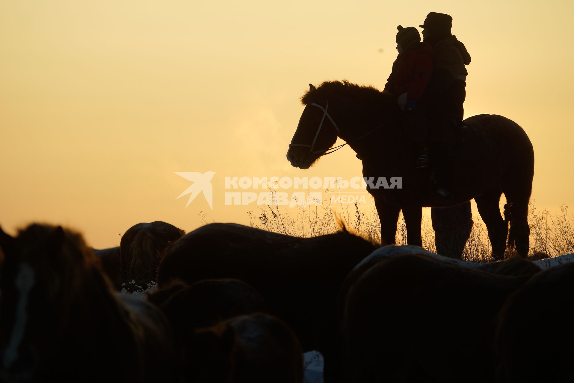 Конеферма агрофирмы `Артемовский`. На снимке: пастух с ребенком на лошади.