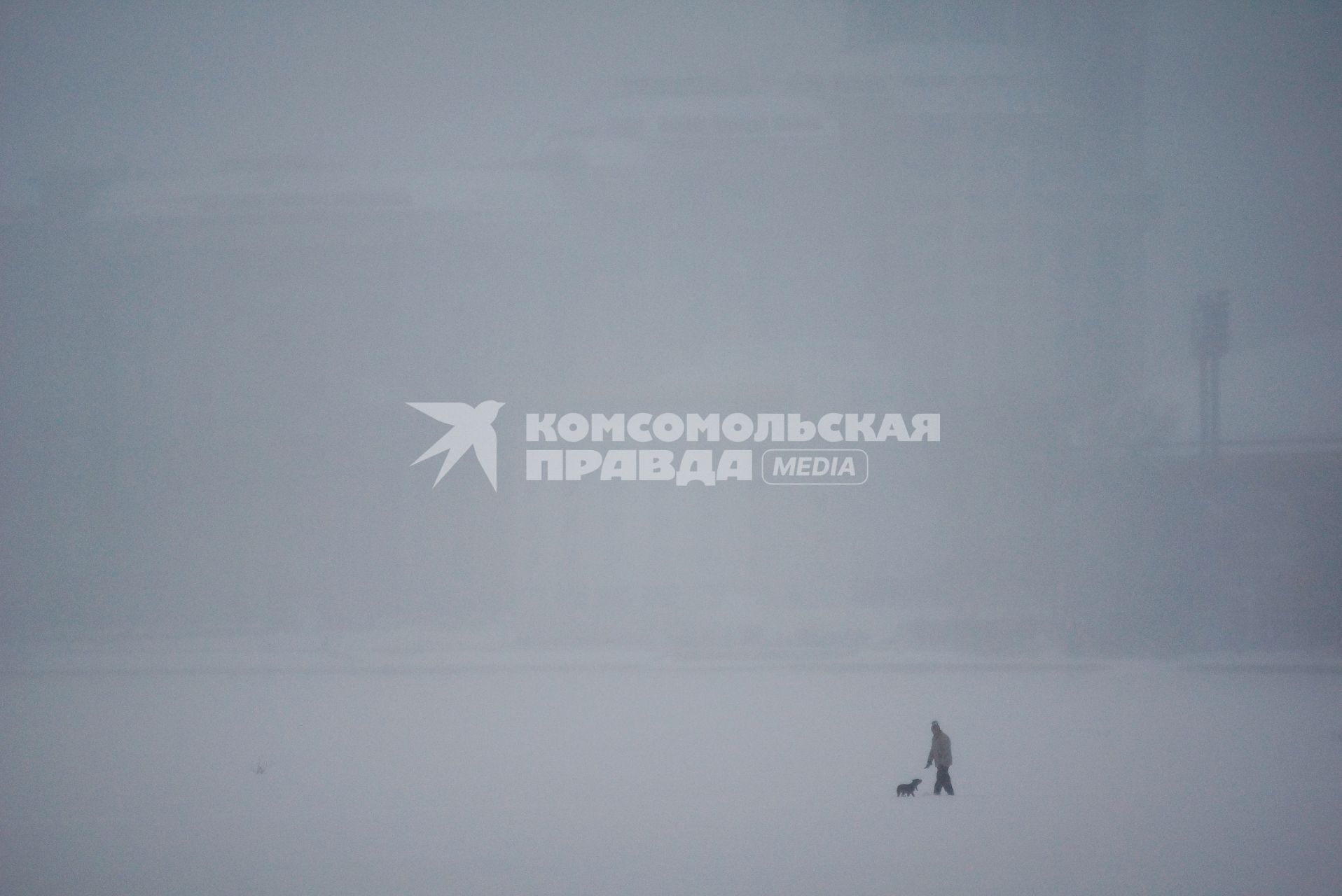 Снегопад в Екатеринбурге. На снимке: мужчина выгуливает собаку.