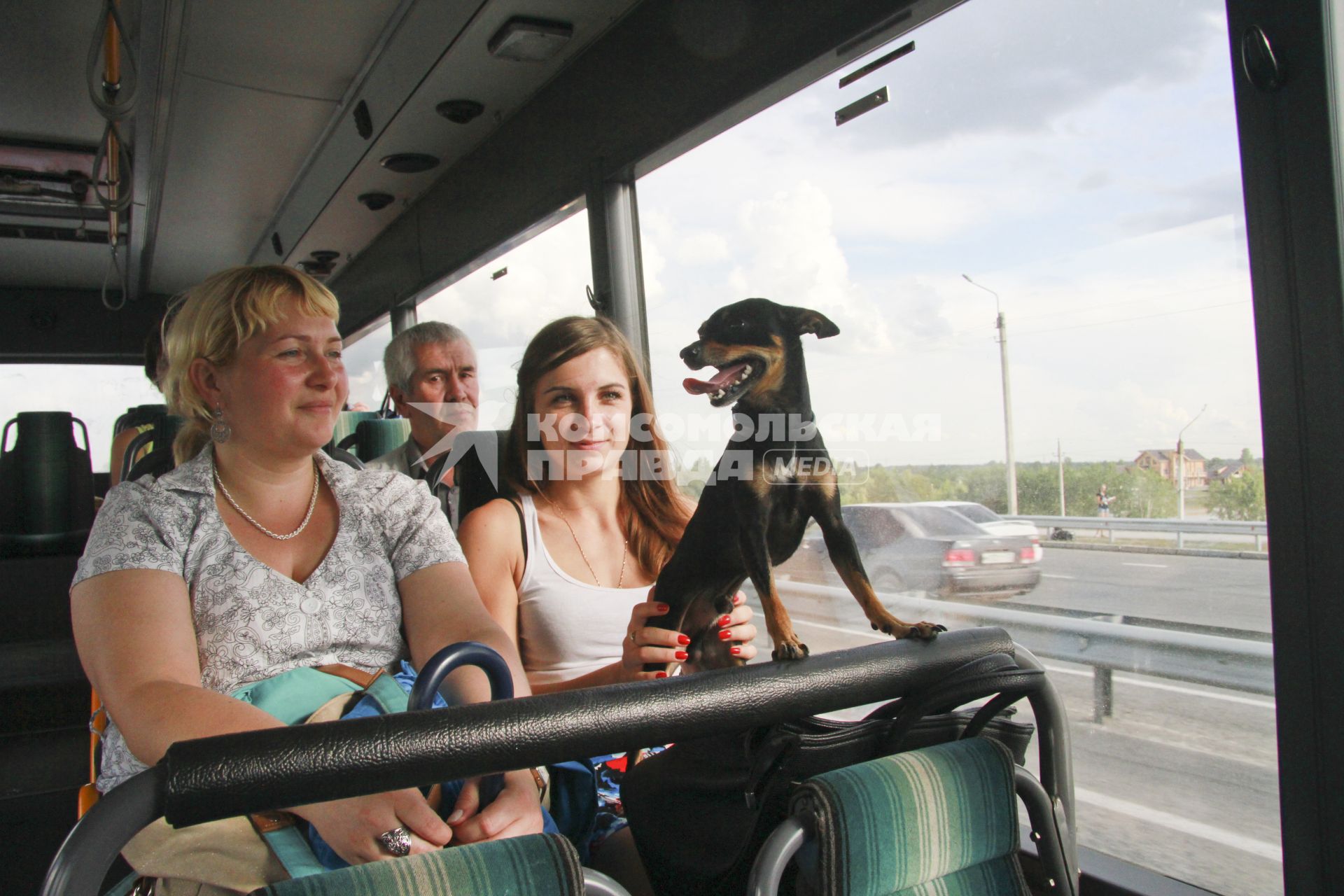 Пассажиры автобуса с собакой.