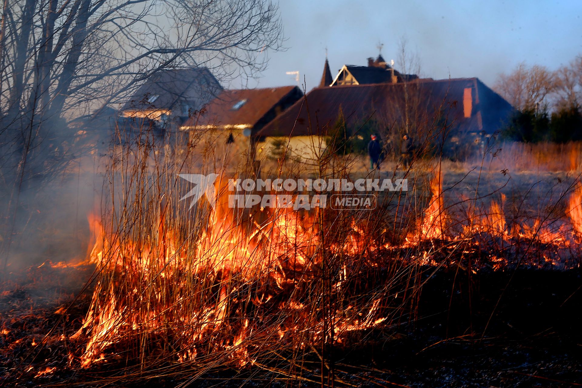 В Калининградской области поджигают сухую прошлогоднюю траву.