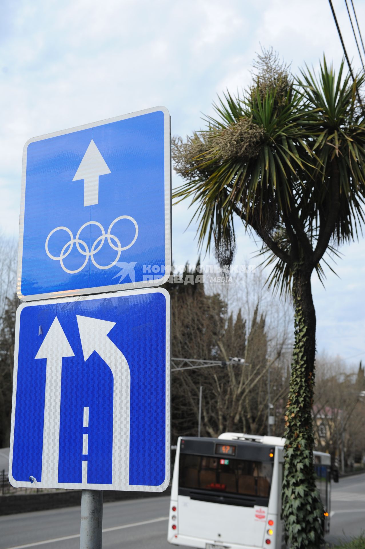 Виды Сочи. На снимке: дорожный знак, обозначающий олимпийские полосы.