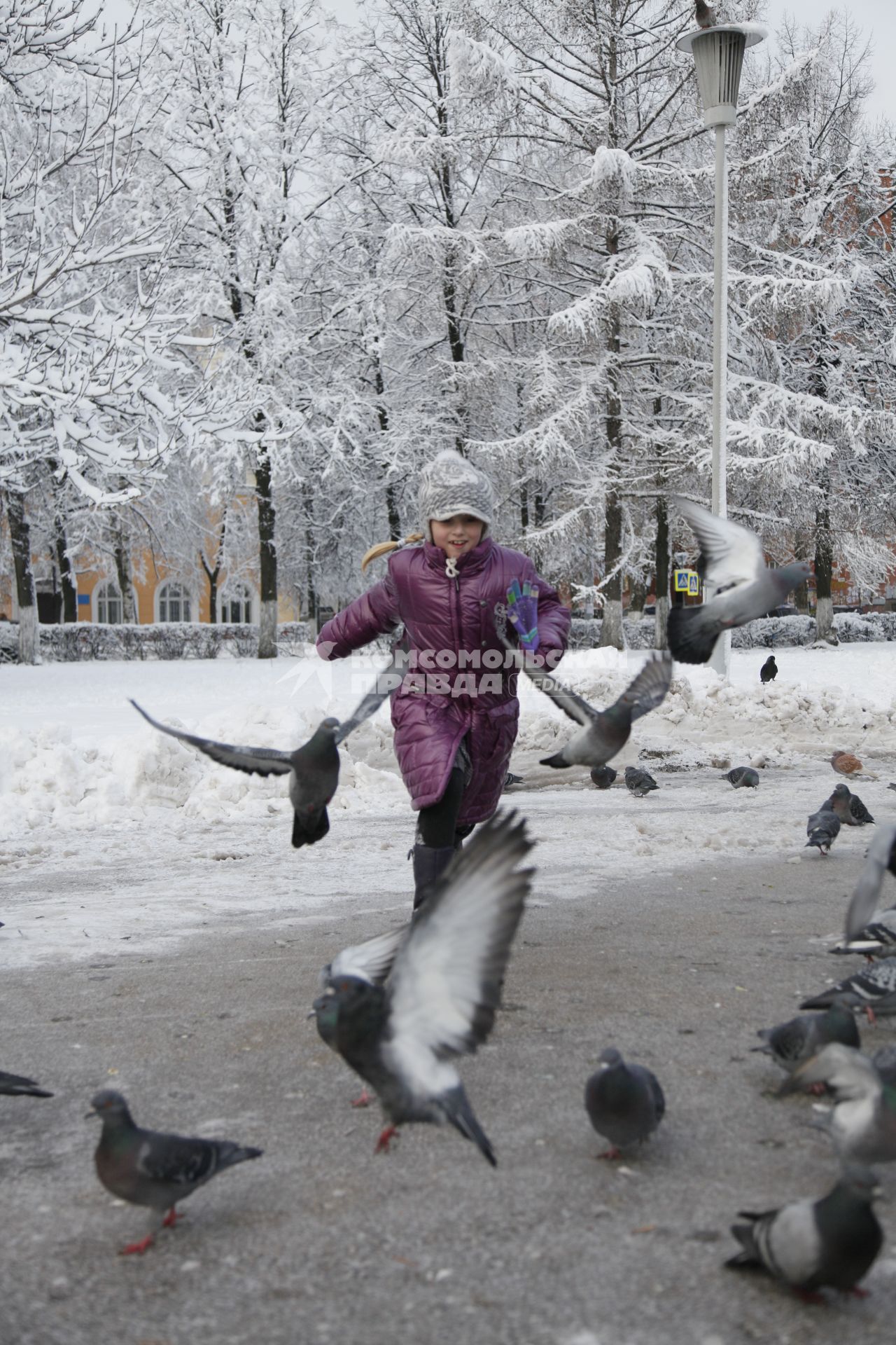 Девочка гоняет голубей зимой на улице.