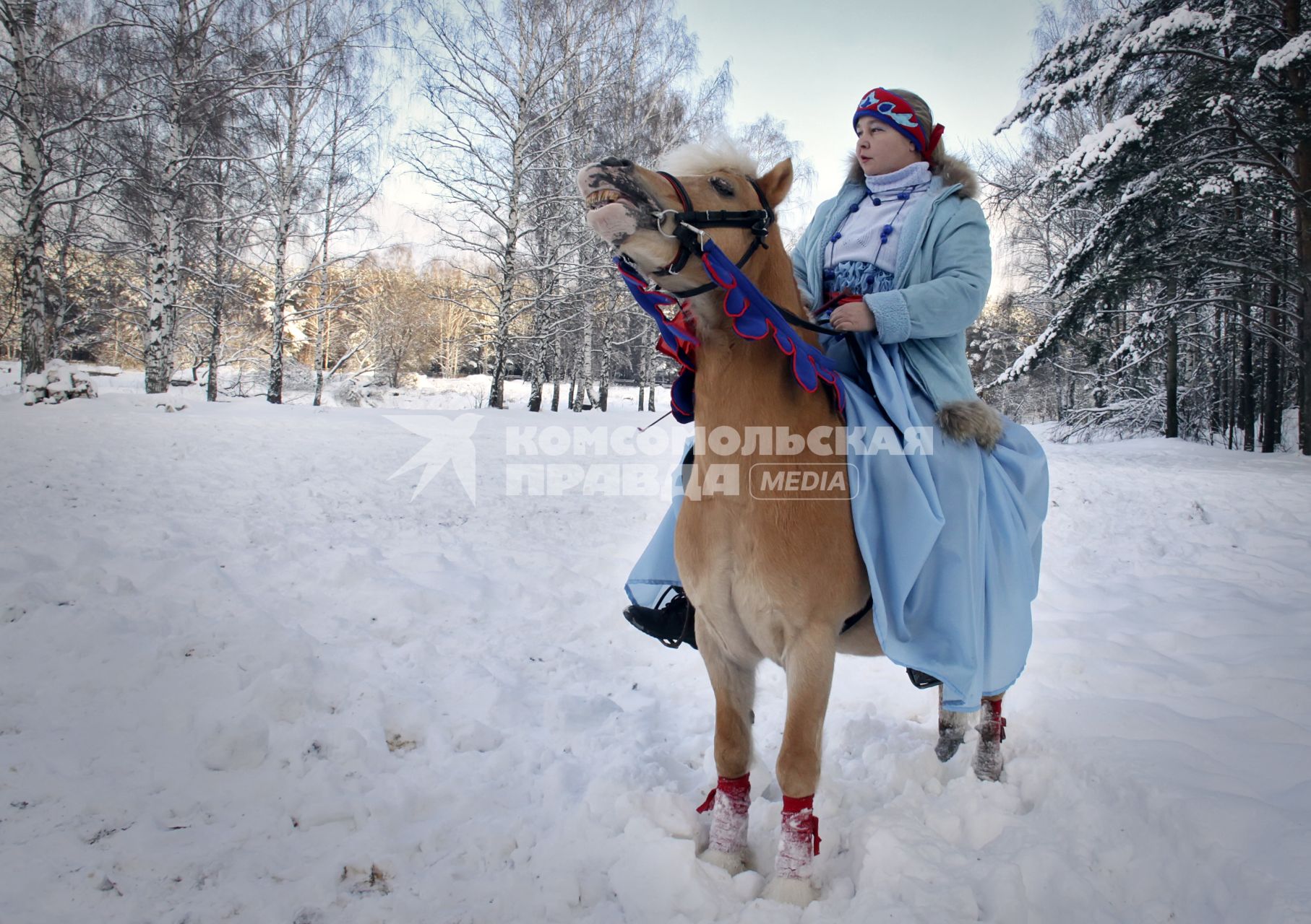 Женщина на лошади.