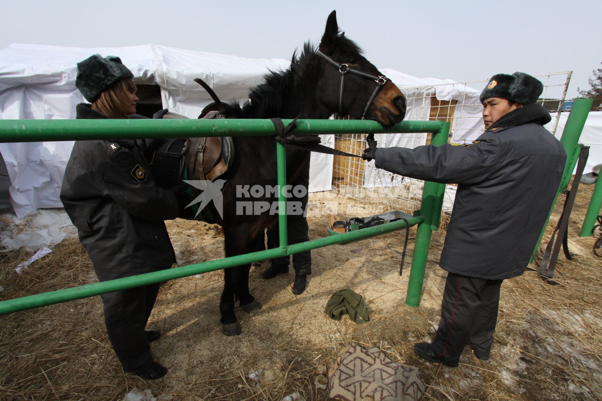 Конная полиция.