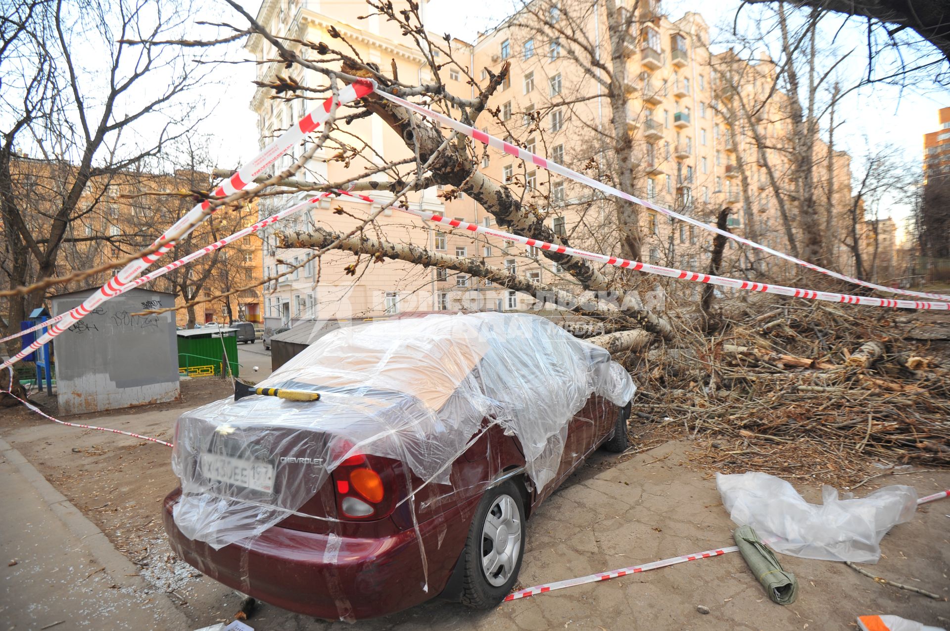 Малые Каменщики дом 6. В результате сильного ветра старое дерево упало на машины. На снимке: один из поврежденных автомобилей за оградительной лентой.