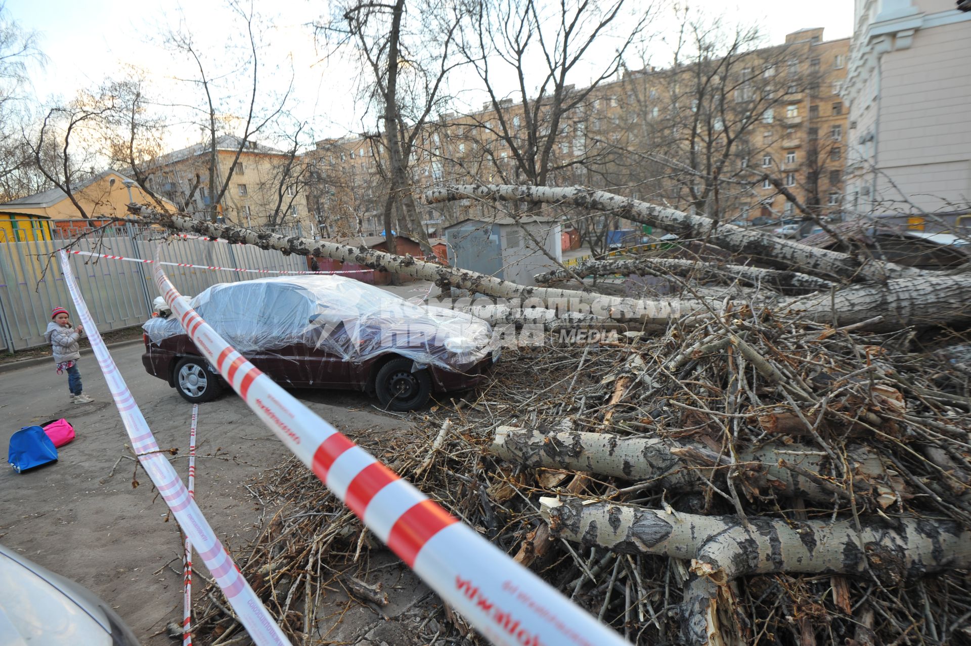 Малые Каменщики дом 6. В результате сильного ветра старое дерево упало на машины. На снимке: один из поврежденных автомобилей за оградительной лентой.