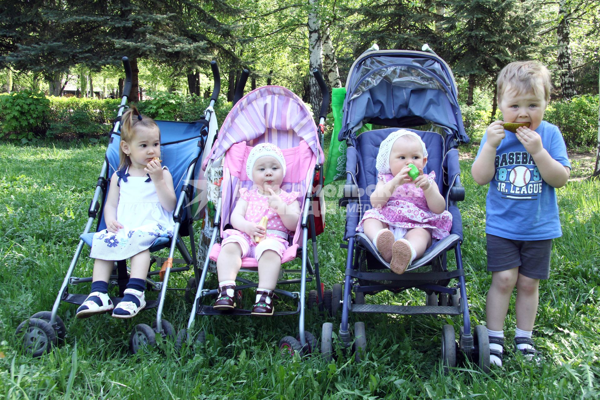 Дети в детских колясках летом в парке.