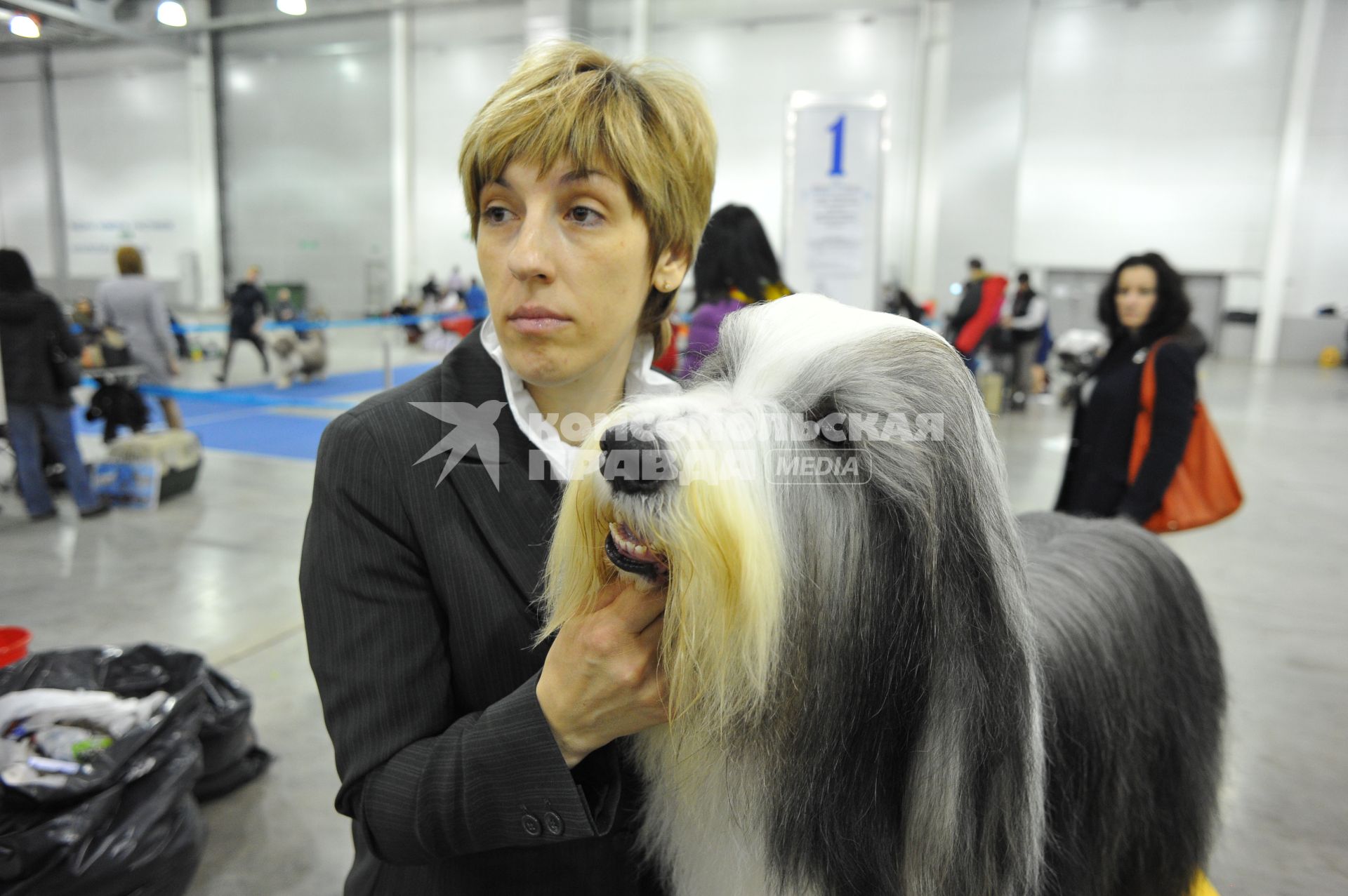 МВЦ `Крокус Экспо`. Международная выставка собак `Евразия 2014`. На снимке: собака породы бородатый колли