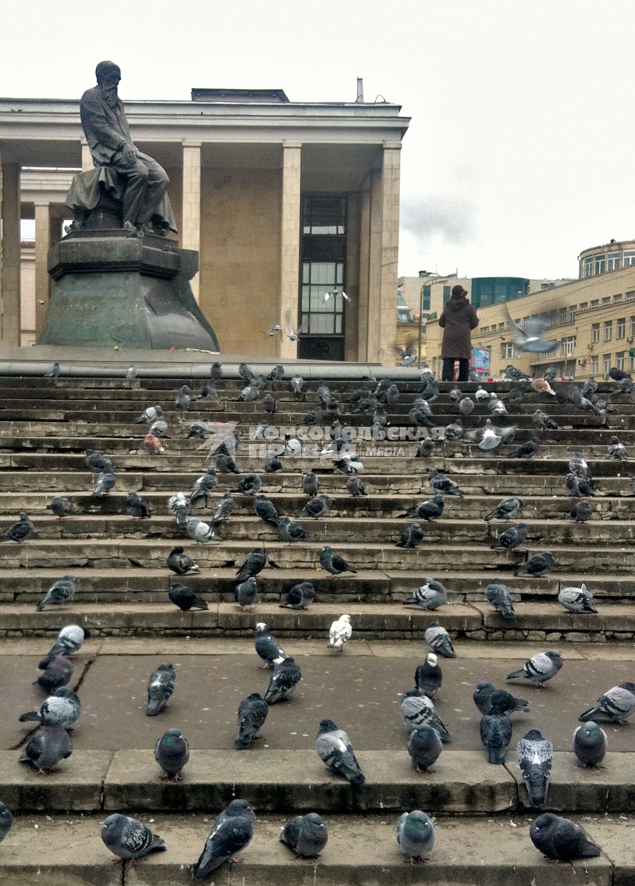 Стая голубей сидит на ступеньках перед библиотекой имени Ленина.